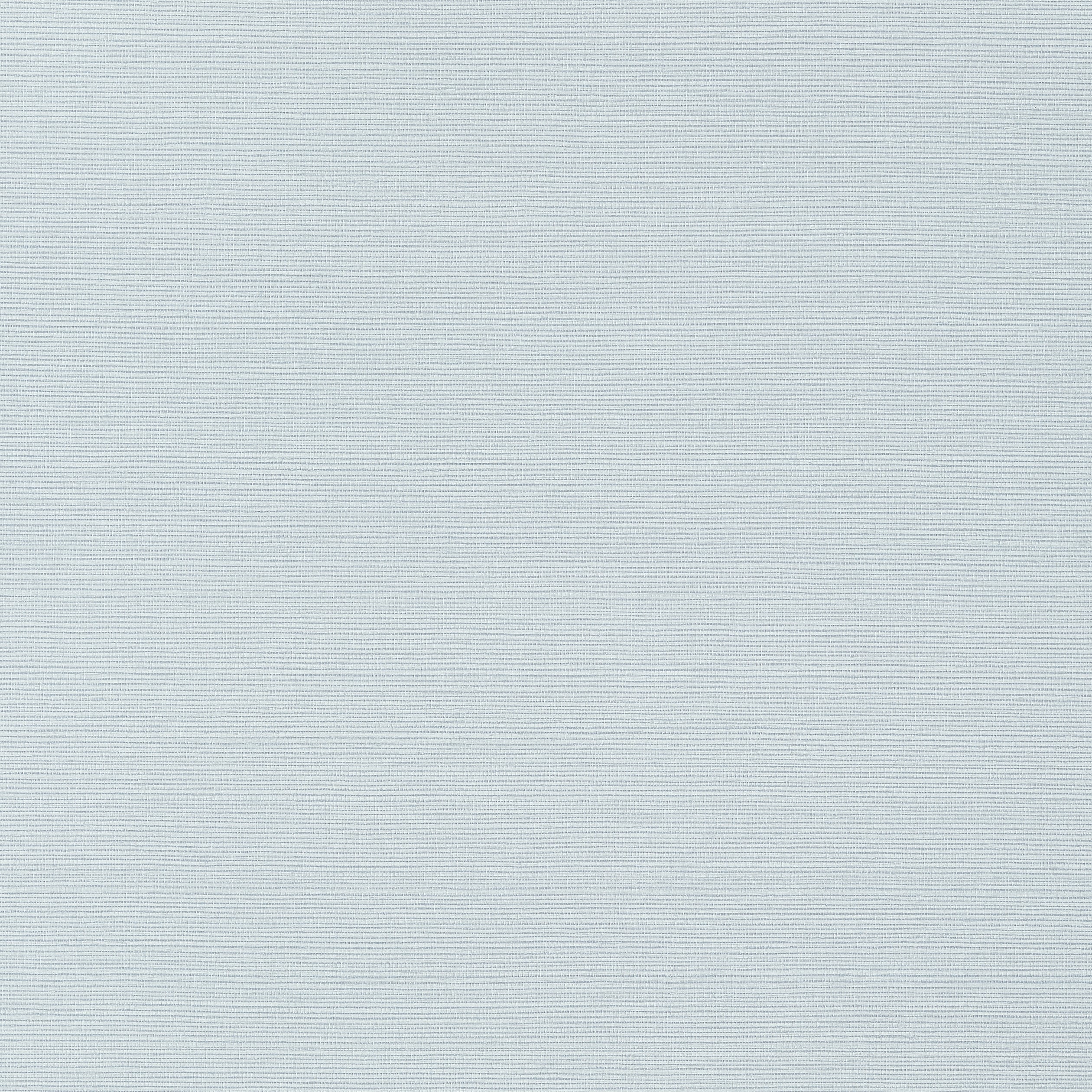 Taluk Sisal fabric in ice color - pattern number T283 - by Thibaut in the Texture Resource Volume 6 collection