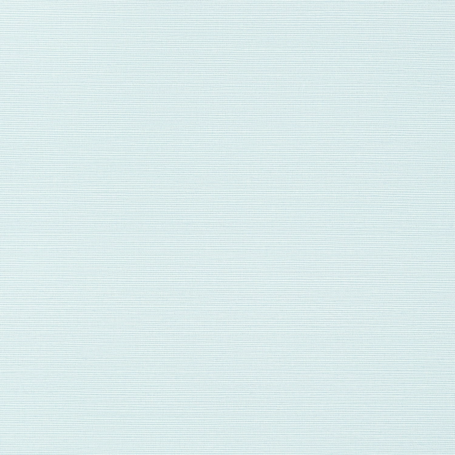 Taluk Sisal fabric in robins egg color - pattern number T284 - by Thibaut in the Texture Resource Volume 6 collection