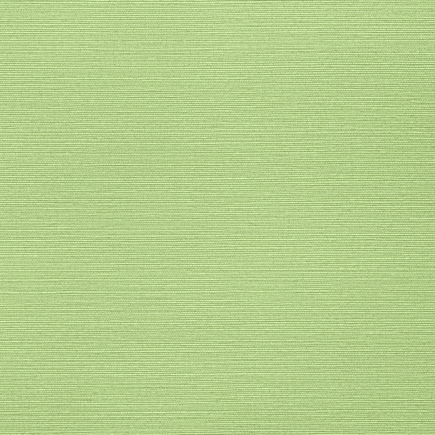 Taluk Sisal fabric in spring color - pattern number T287 - by Thibaut in the Texture Resource Volume 6 collection