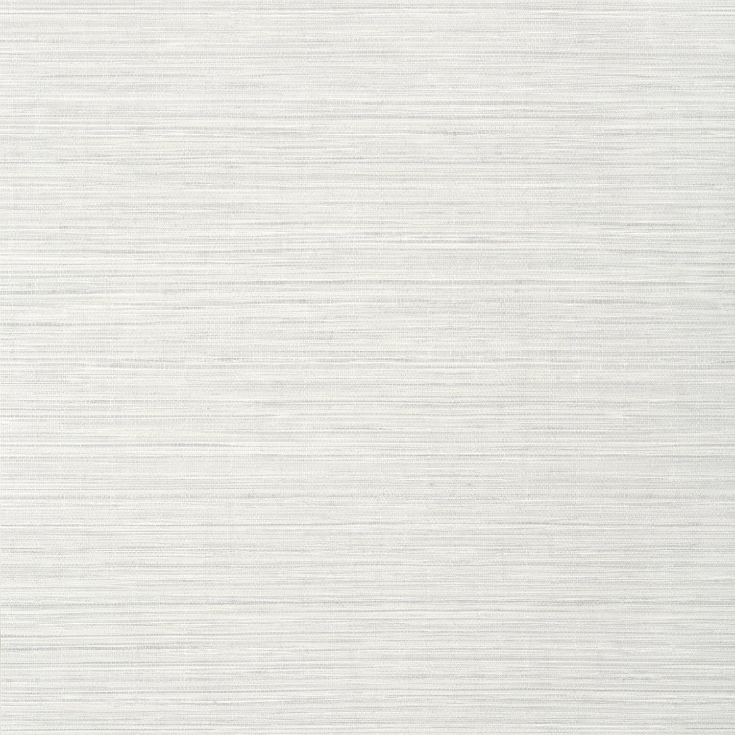 Kendari Grass fabric in light grey color - pattern number T293 - by Thibaut in the Texture Resource Volume 6 collection
