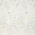 Desmond wallpaper in pearl color - pattern number T2936 - by Thibaut in the Paramount collection