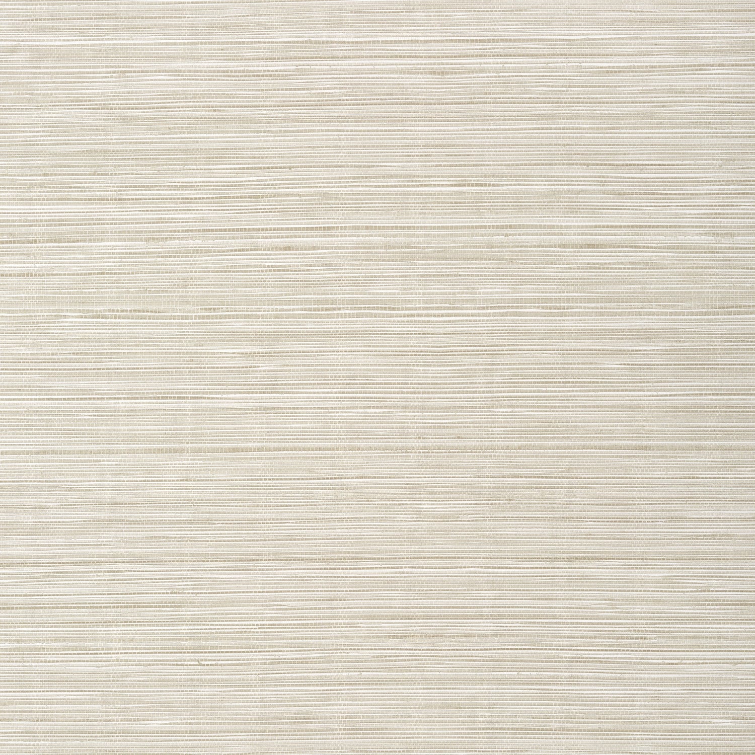 Kendari Grass fabric in putty color - pattern number T295 - by Thibaut in the Texture Resource Volume 6 collection