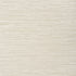 Kendari Grass fabric in putty color - pattern number T295 - by Thibaut in the Texture Resource Volume 6 collection