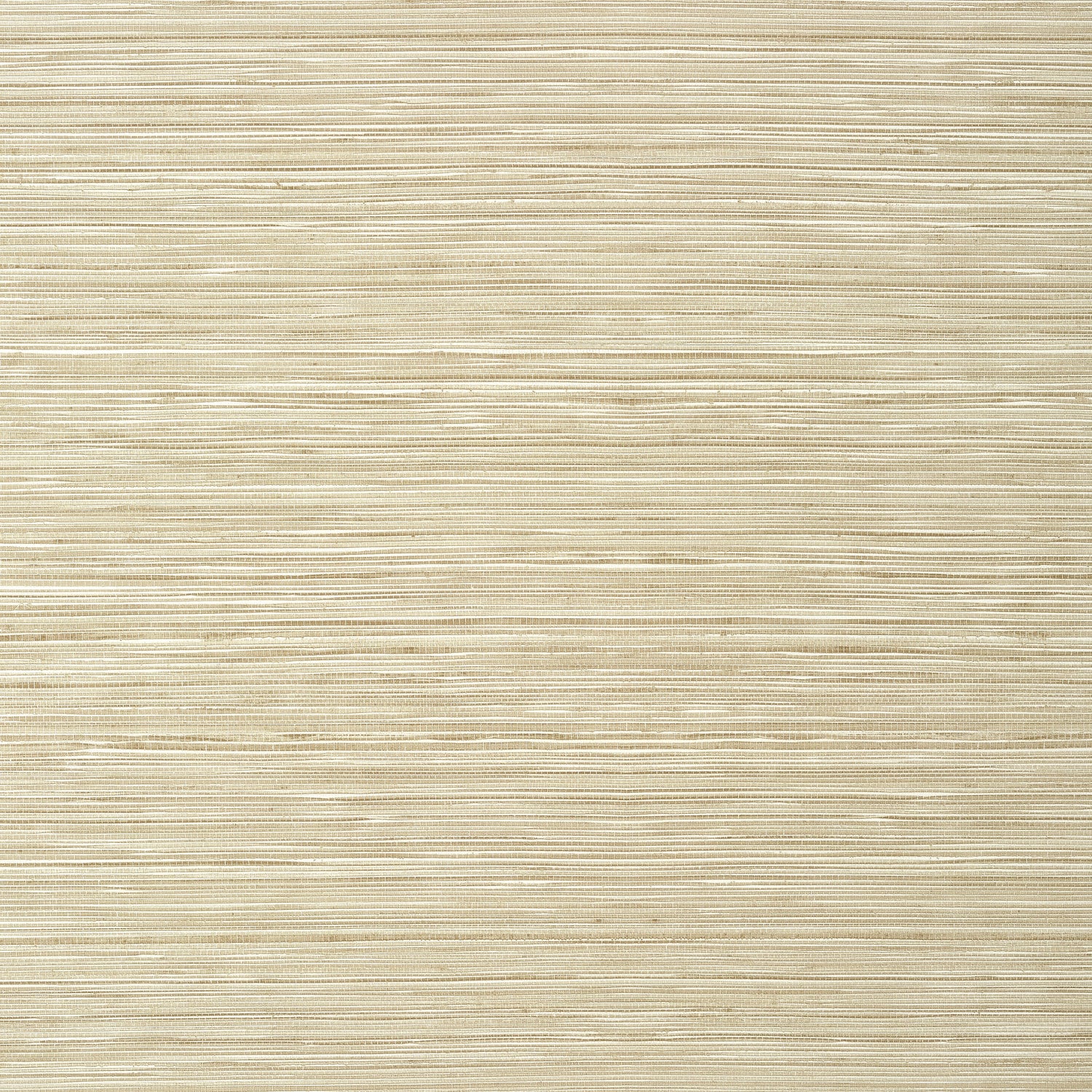 Kendari Grass fabric in sand color - pattern number T296 - by Thibaut in the Texture Resource Volume 6 collection