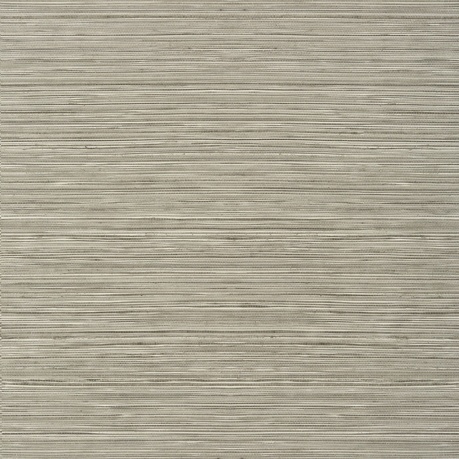 Kendari Grass fabric in taupe color - pattern number T297 - by Thibaut in the Texture Resource Volume 6 collection