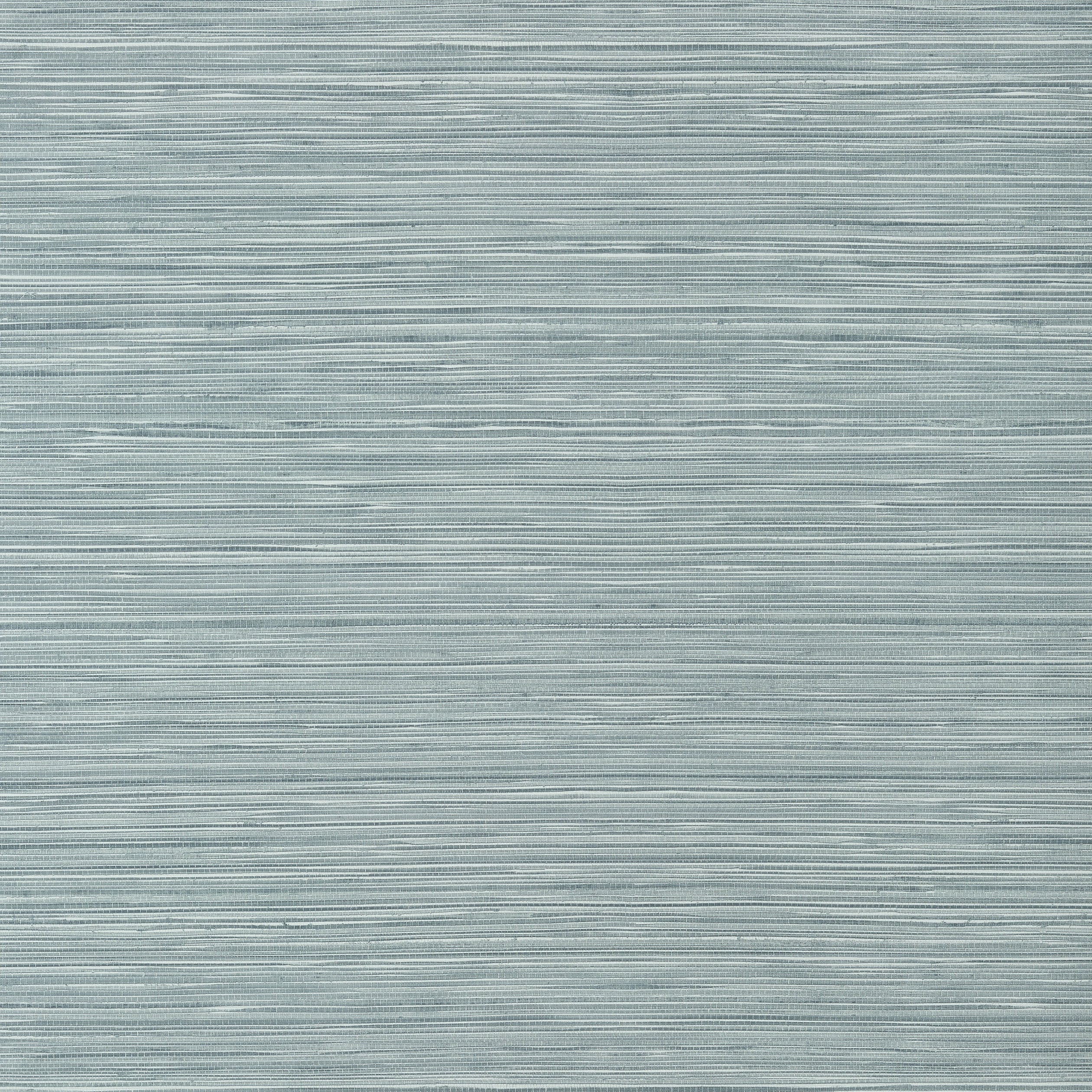 Kendari Grass fabric in mineral color - pattern number T300 - by Thibaut in the Texture Resource Volume 6 collection