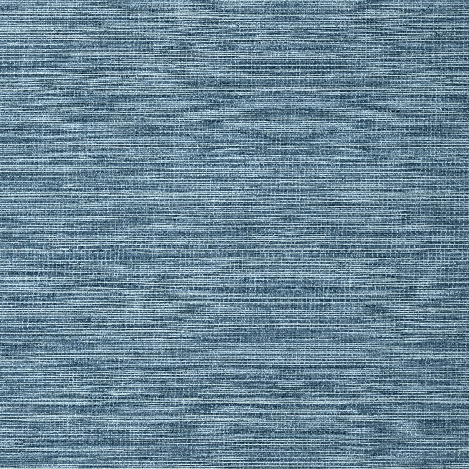 Kendari Grass fabric in blue color - pattern number T301 - by Thibaut in the Texture Resource Volume 6 collection