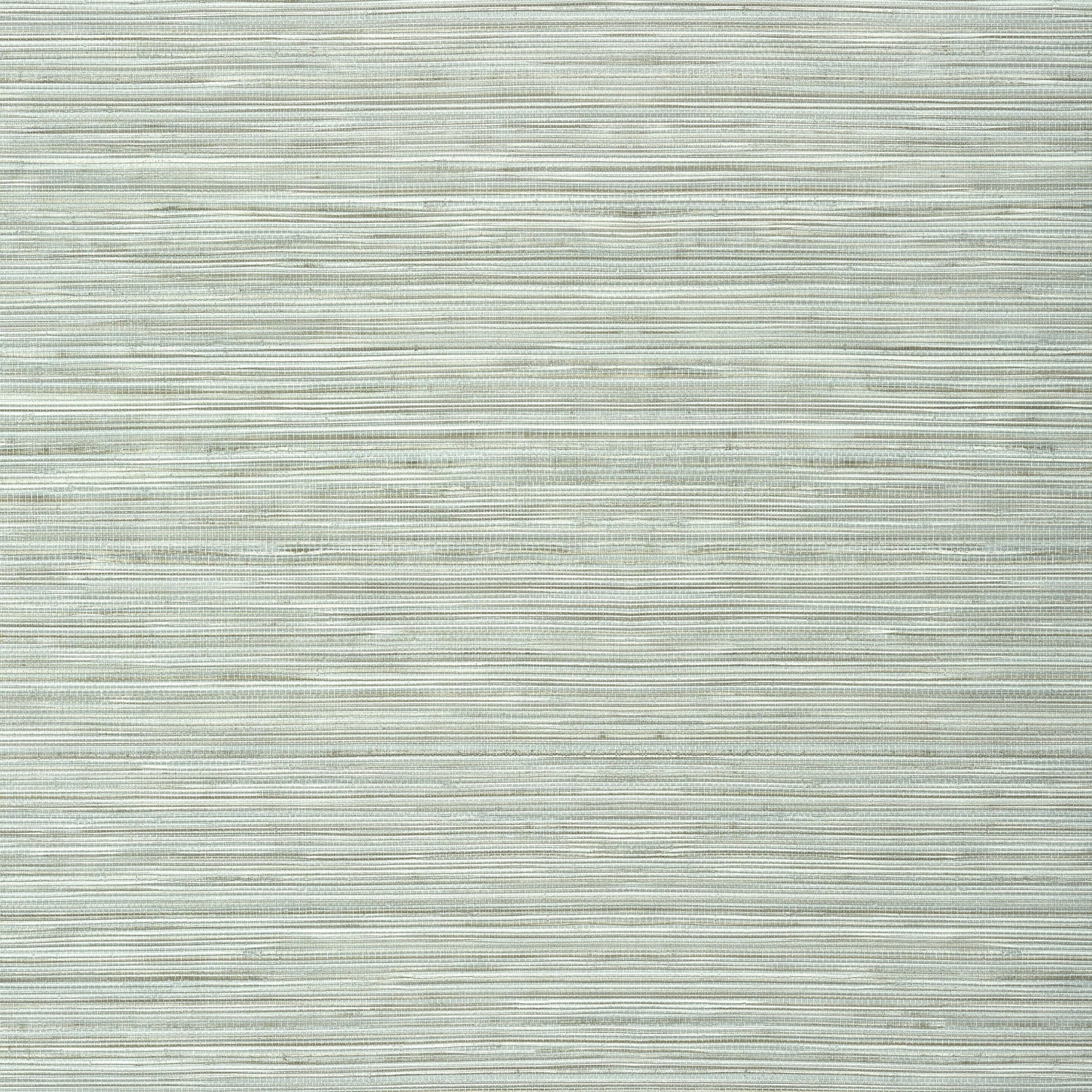 Kendari Grass fabric in robins egg color - pattern number T303 - by Thibaut in the Texture Resource Volume 6 collection