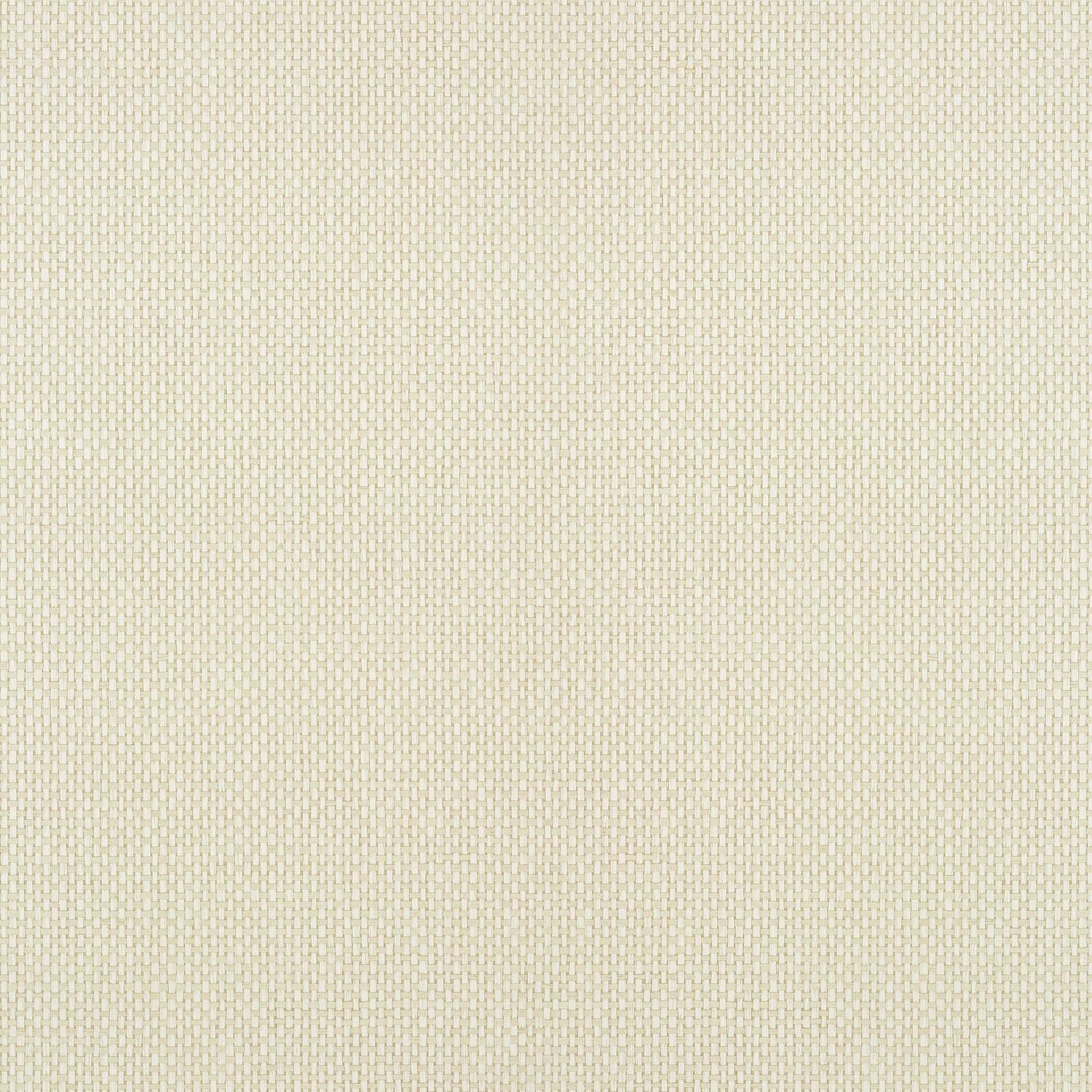Cafe Weave fabric in beige color - pattern number T304 - by Thibaut in the Texture Resource Volume 6 collection
