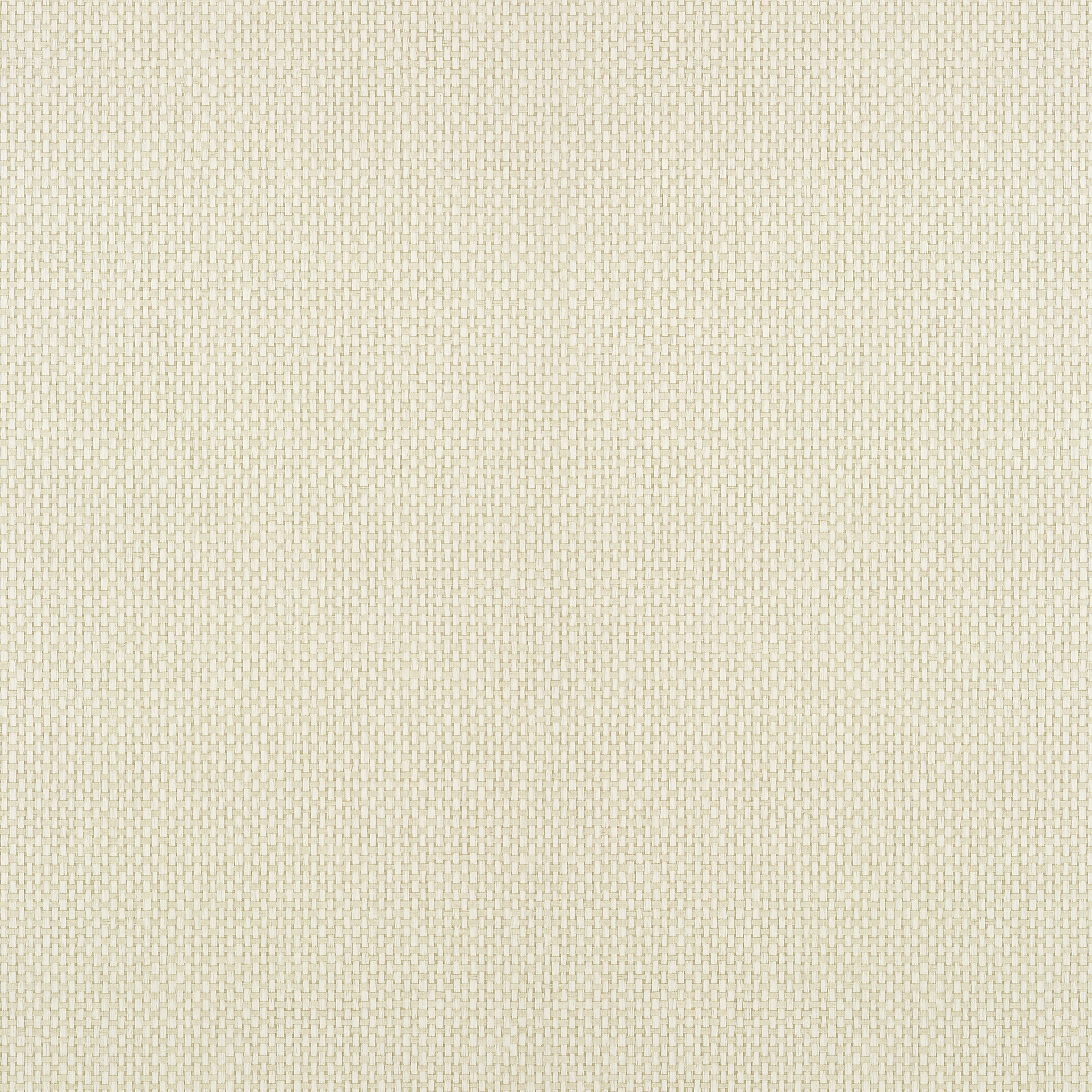 Cafe Weave fabric in beige color - pattern number T304 - by Thibaut in the Texture Resource Volume 6 collection