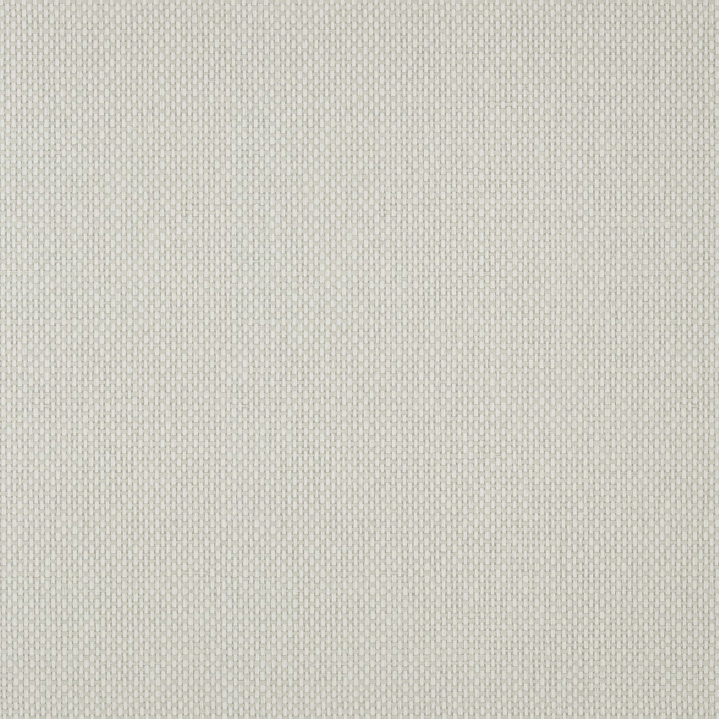 Cafe Weave fabric in putty color - pattern number T305 - by Thibaut in the Texture Resource Volume 6 collection