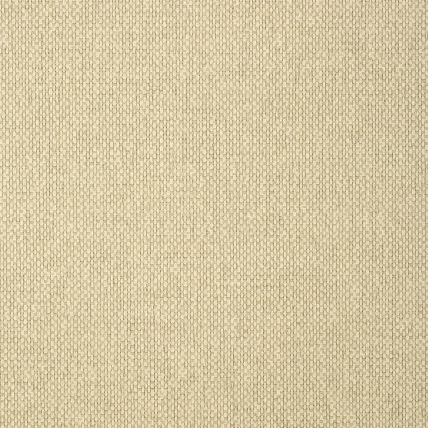Cafe Weave fabric in camel color - pattern number T307 - by Thibaut in the Texture Resource Volume 6 collection