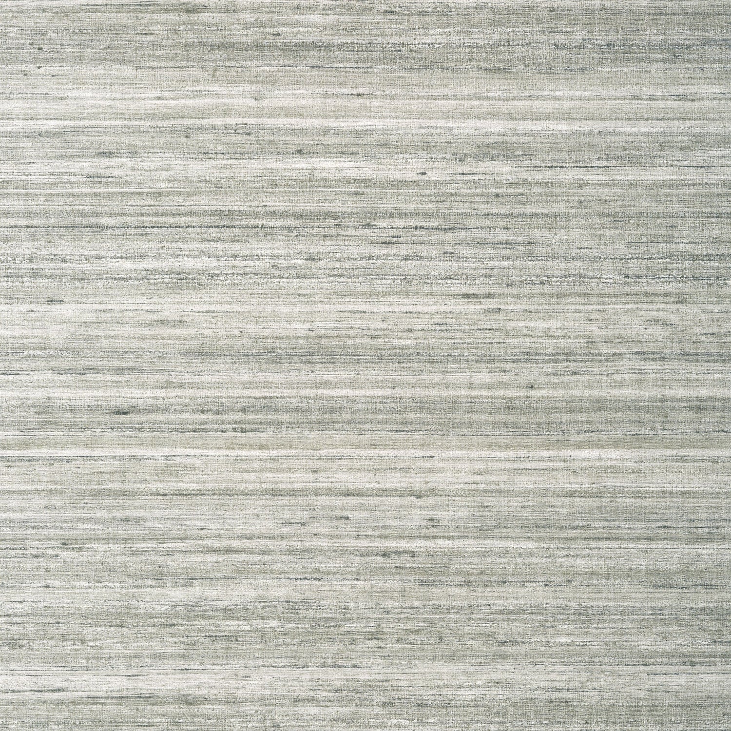 Wild Silk wallpaper in charcoal on metallic silver color - pattern number T335 - by Thibaut in the Texture Resource Volume 6 collection