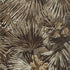 Palmier wallpaper in brown color - pattern number T34008 - by Thibaut in the Texture Resource Volume 9 collection