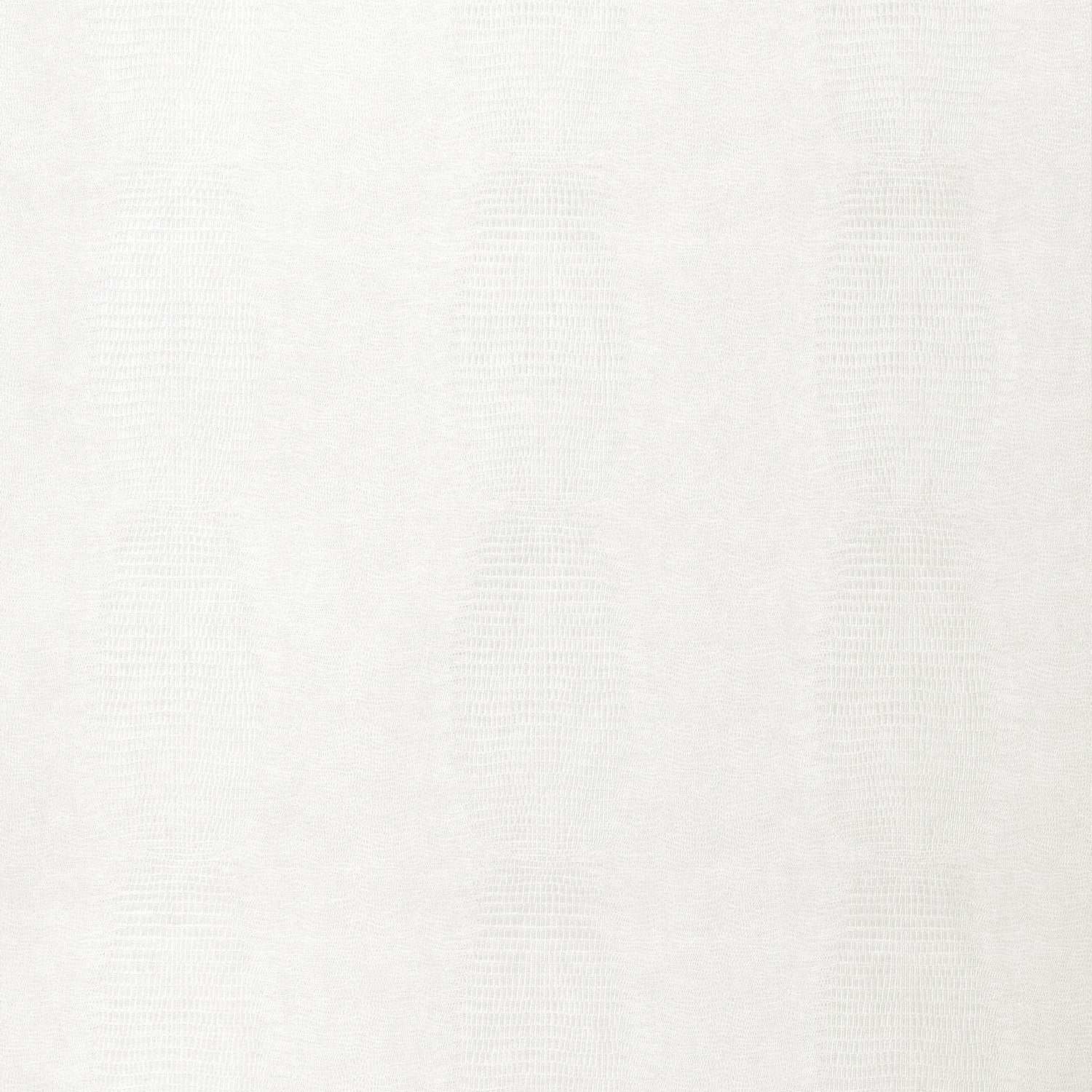 Kissimmee wallpaper in white color - pattern number T34019 - by Thibaut in the Texture Resource Volume 9 collection