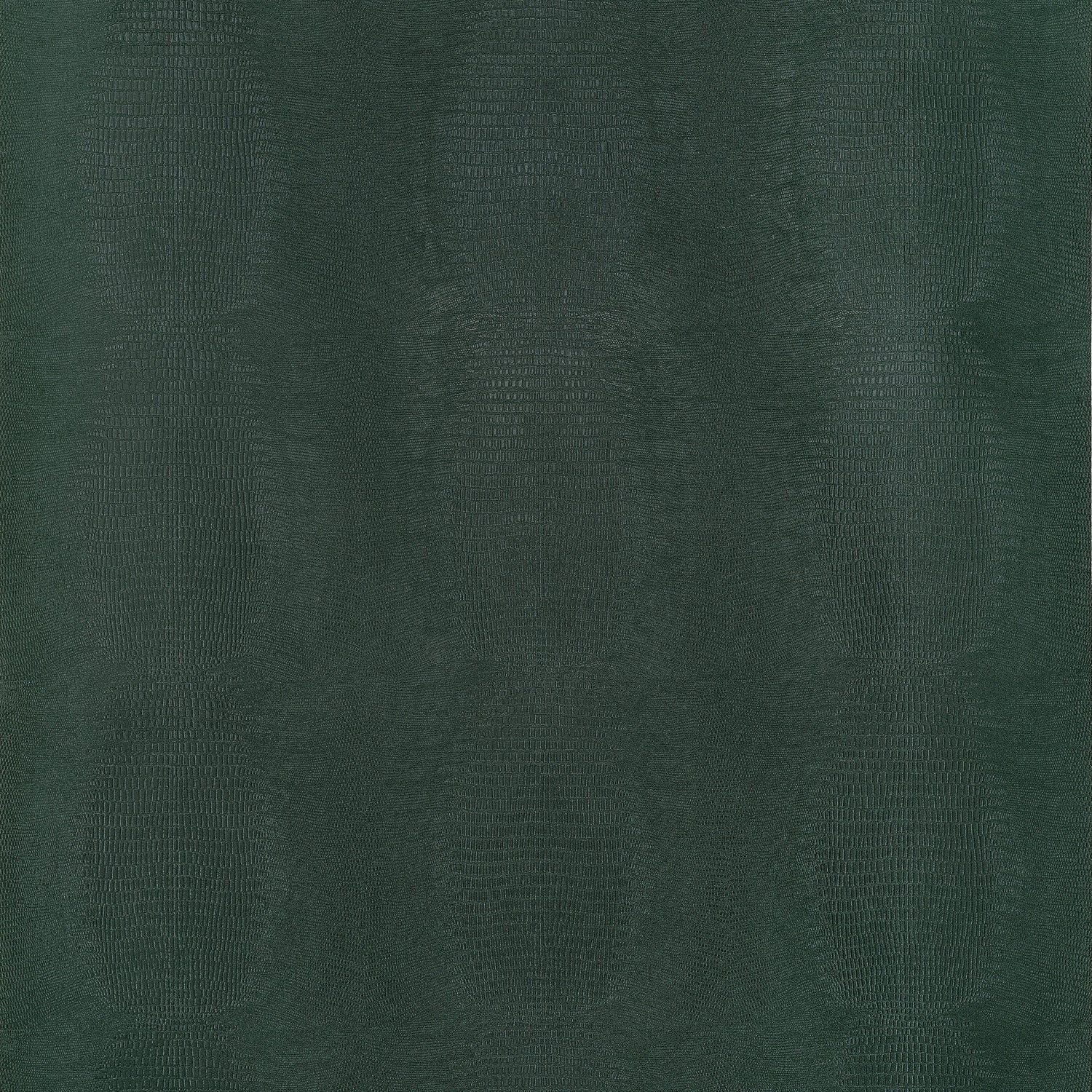 Kissimmee wallpaper in deep green color - pattern number T34020 - by Thibaut in the Texture Resource Volume 9 collection