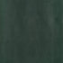 Kissimmee wallpaper in deep green color - pattern number T34020 - by Thibaut in the Texture Resource Volume 9 collection