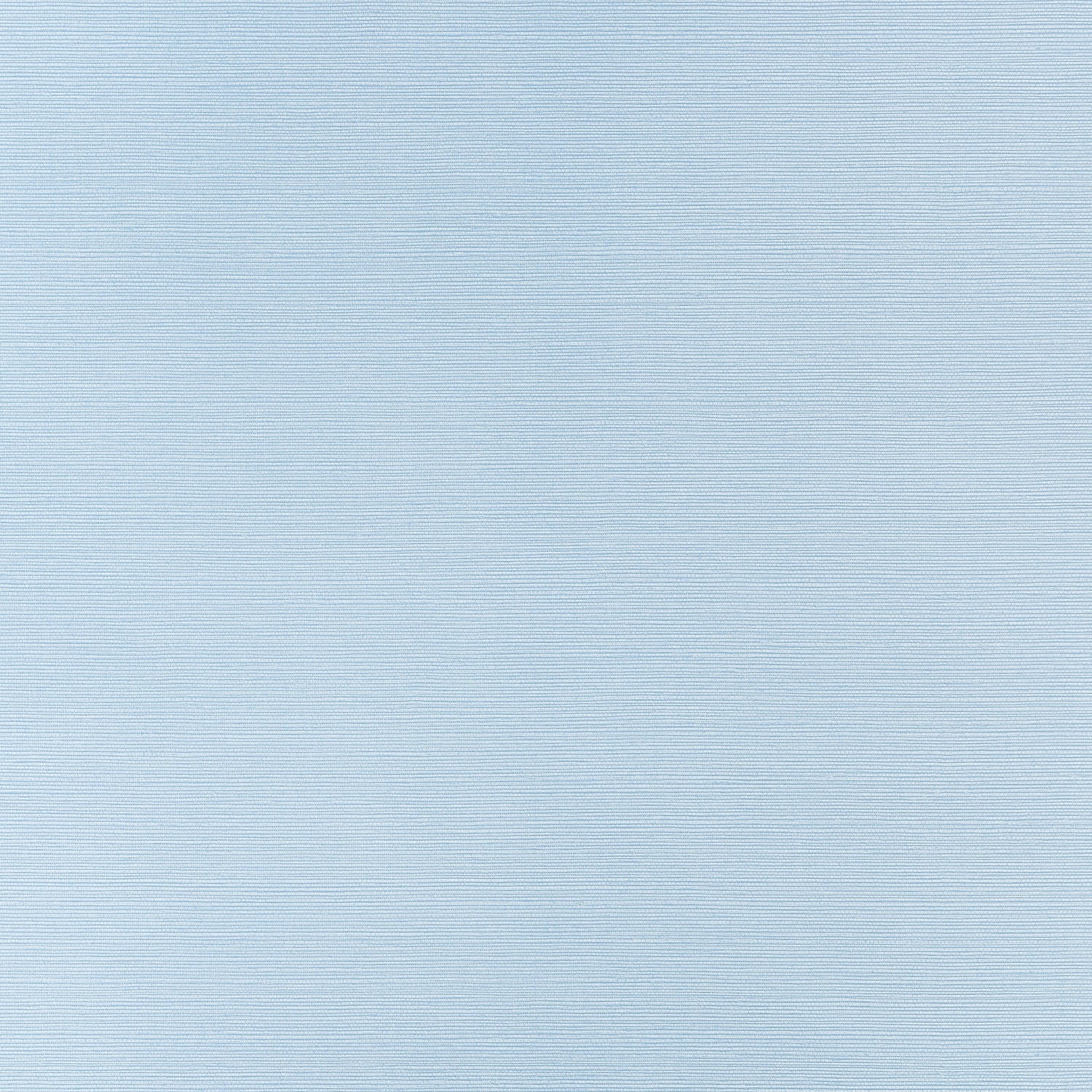 Taluk Sisal wallpaper in sky blue color - pattern number T34036 - by Thibaut in the Texture Resource Volume 9 collection