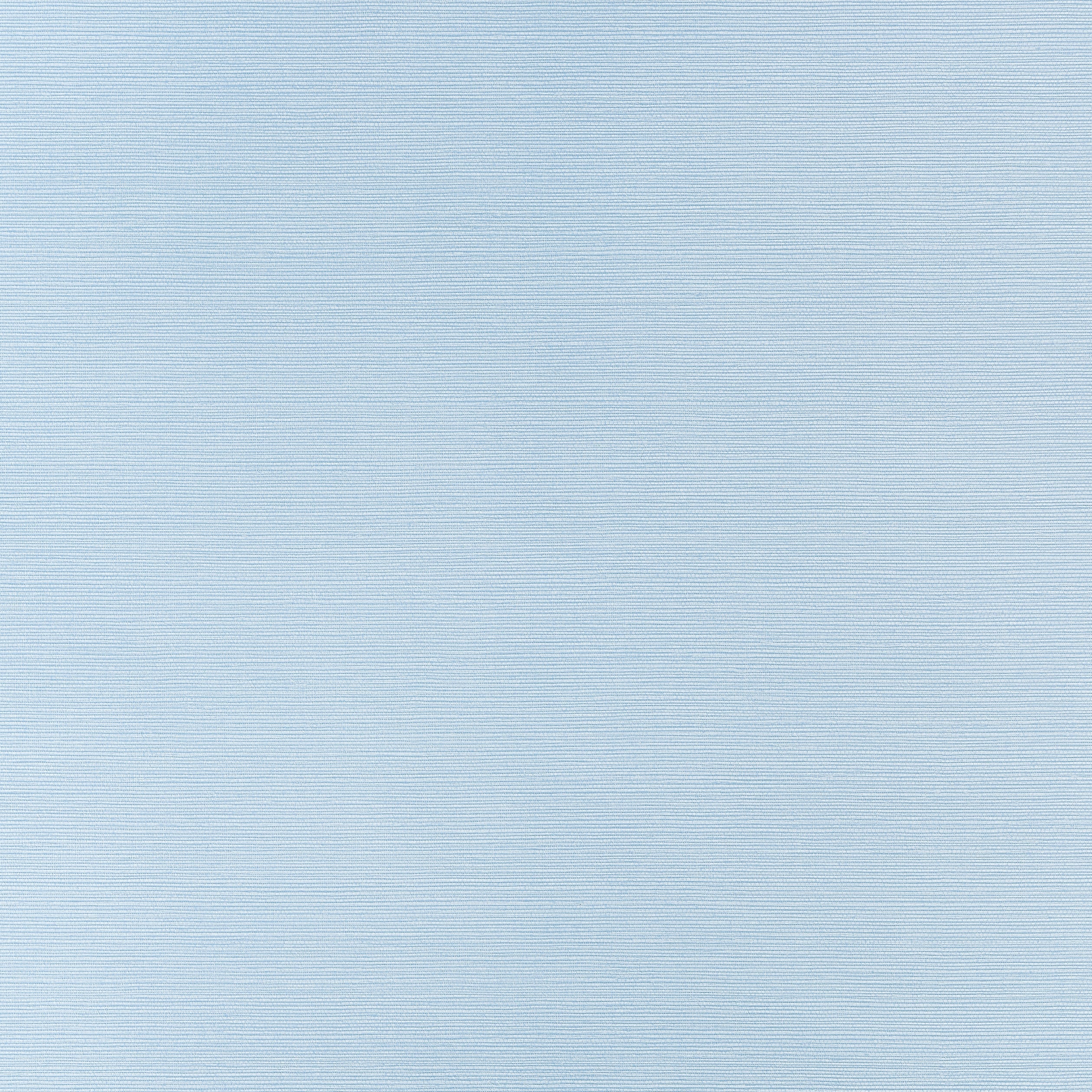 Taluk Sisal wallpaper in sky blue color - pattern number T34036 - by Thibaut in the Texture Resource Volume 9 collection