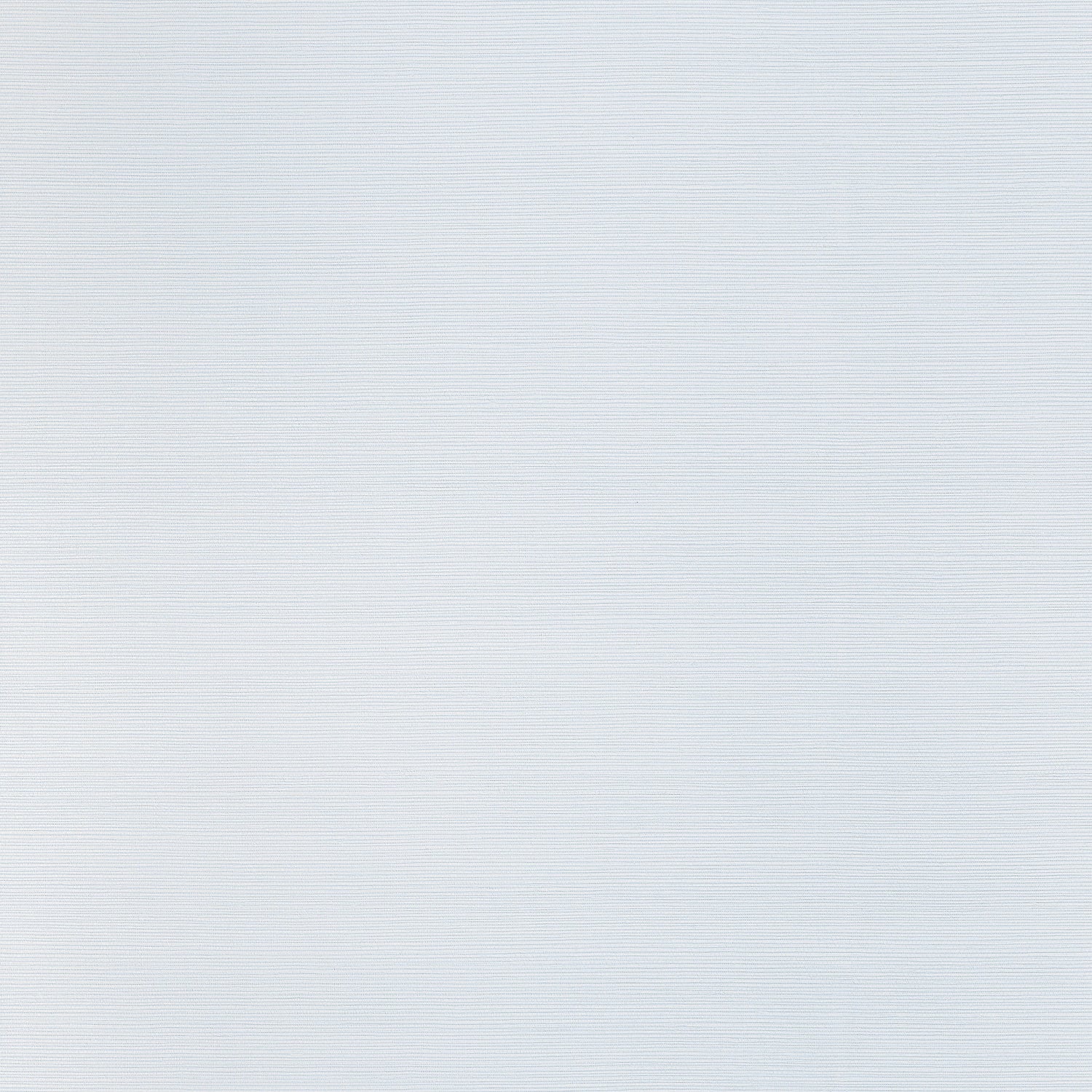 Taluk Sisal wallpaper in light blue color - pattern number T34037 - by Thibaut in the Texture Resource Volume 9 collection