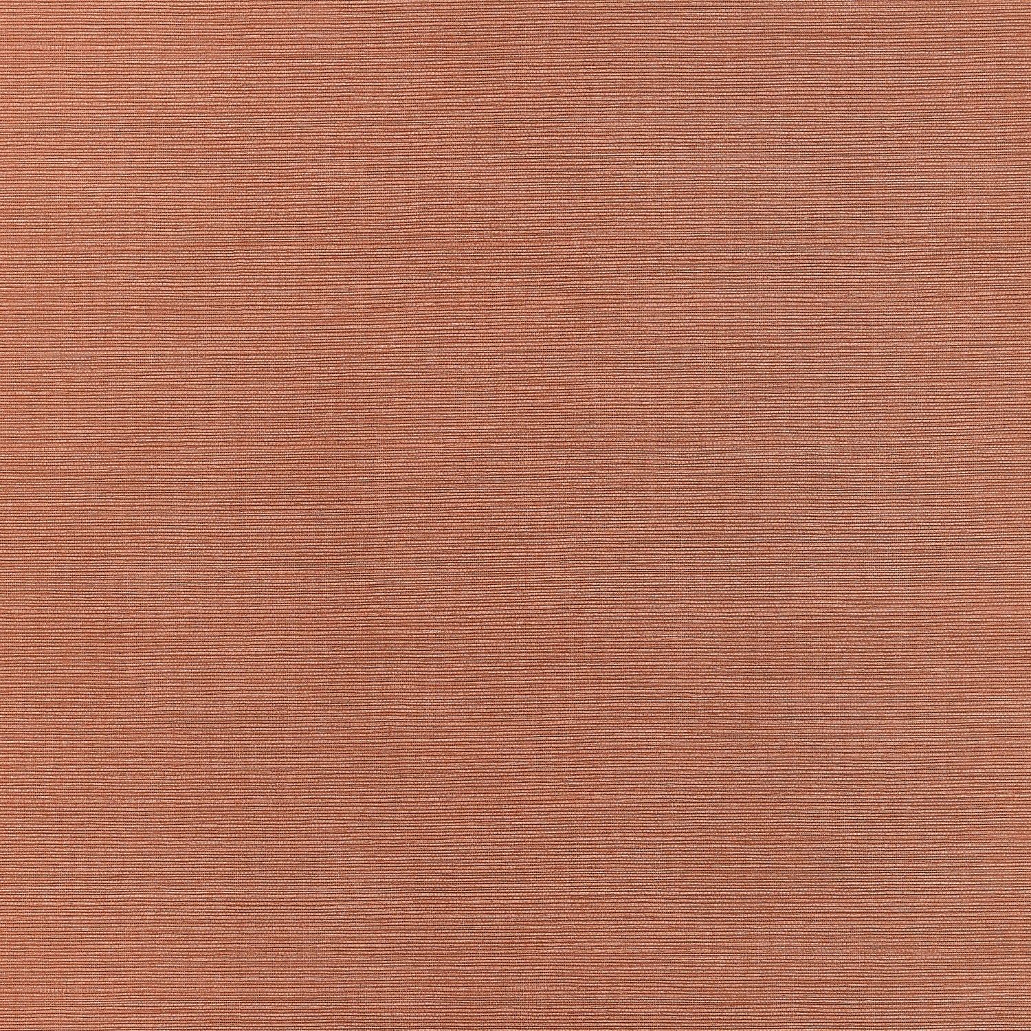 Taluk Sisal wallpaper in terracotta color - pattern number T34038 - by Thibaut in the Texture Resource Volume 9 collection