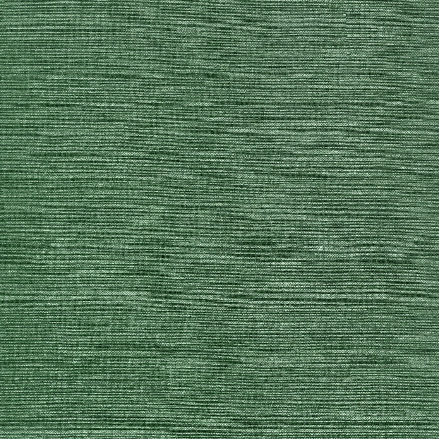 Taluk Sisal wallpaper in forest green color - pattern number T34039 - by Thibaut in the Texture Resource Volume 9 collection