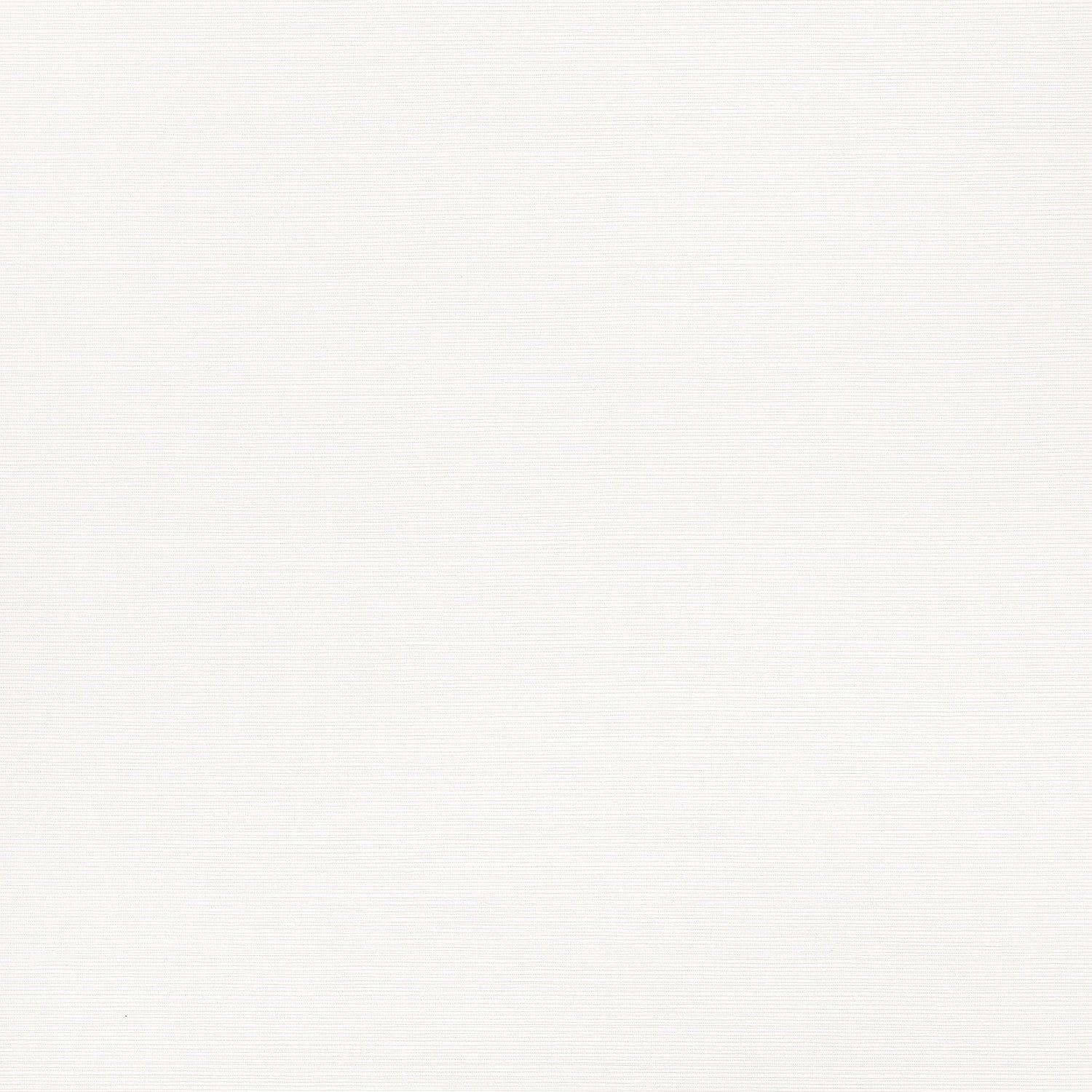 Taluk Sisal wallpaper in bright white color - pattern number T34041 - by Thibaut in the Texture Resource Volume 9 collection