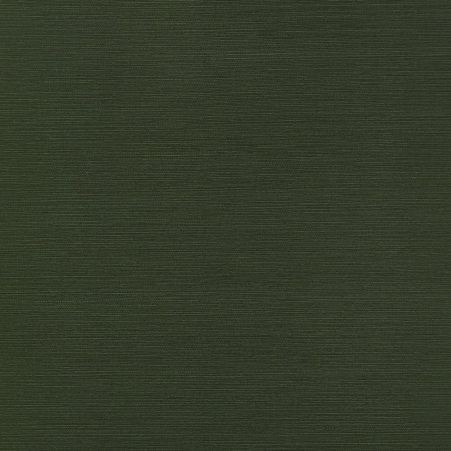 Taluk Sisal wallpaper in olive color - pattern number T34044 - by Thibaut in the Texture Resource Volume 9 collection