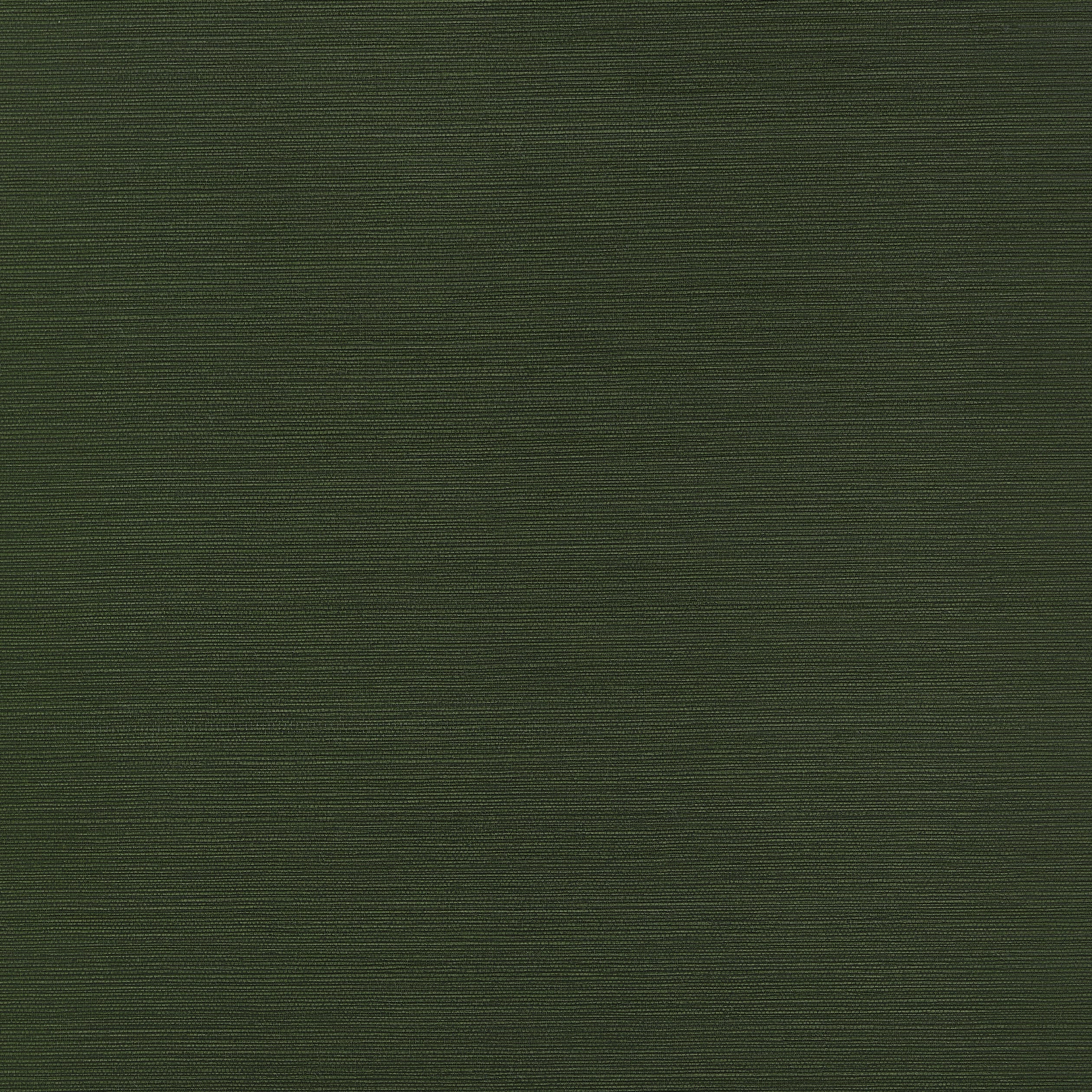 Taluk Sisal wallpaper in olive color - pattern number T34044 - by Thibaut in the Texture Resource Volume 9 collection
