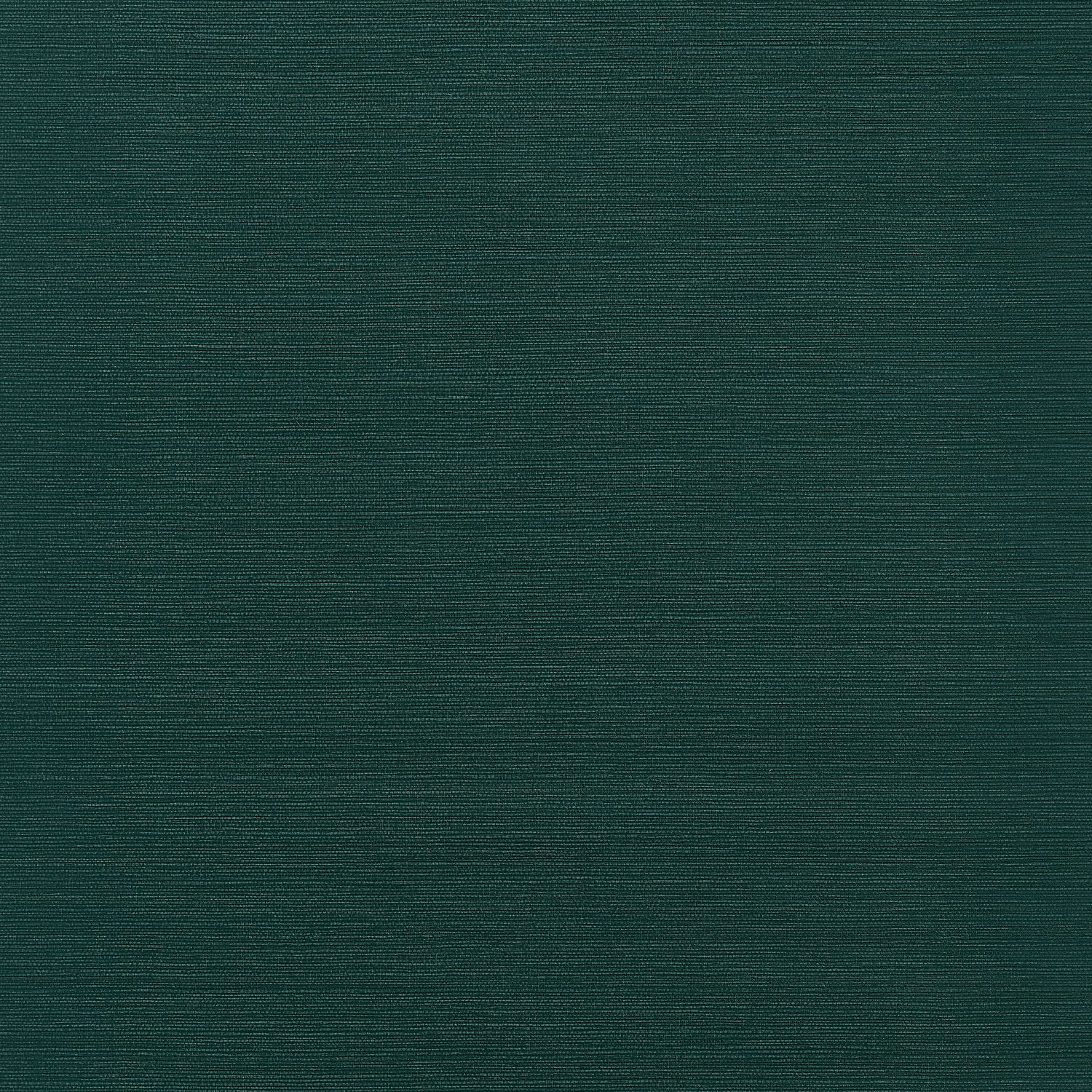 Taluk Sisal wallpaper in peacock color - pattern number T34045 - by Thibaut in the Texture Resource Volume 9 collection