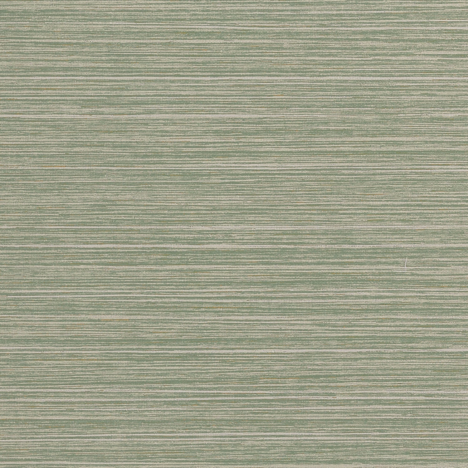 Tenaya wallpaper in sage color - pattern number T34069 - by Thibaut in the Texture Resource Volume 9 collection