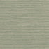 Tenaya wallpaper in sage color - pattern number T34069 - by Thibaut in the Texture Resource Volume 9 collection