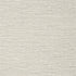 Woody Grass fabric in neutral color - pattern number T349 - by Thibaut in the Texture Resource Volume 6 collection