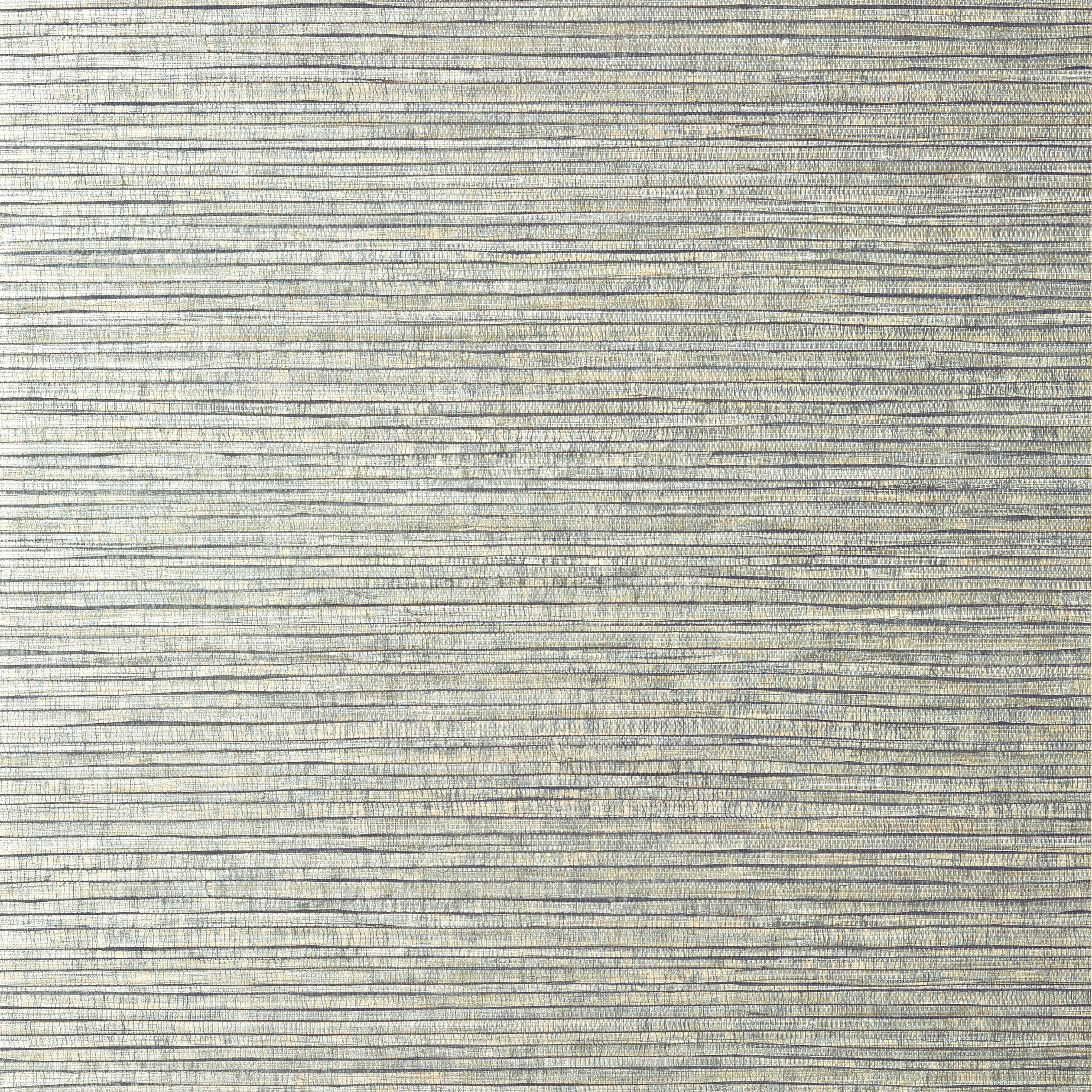Woody Grass fabric in metallic silver color - pattern number T350 - by Thibaut in the Texture Resource Volume 6 collection