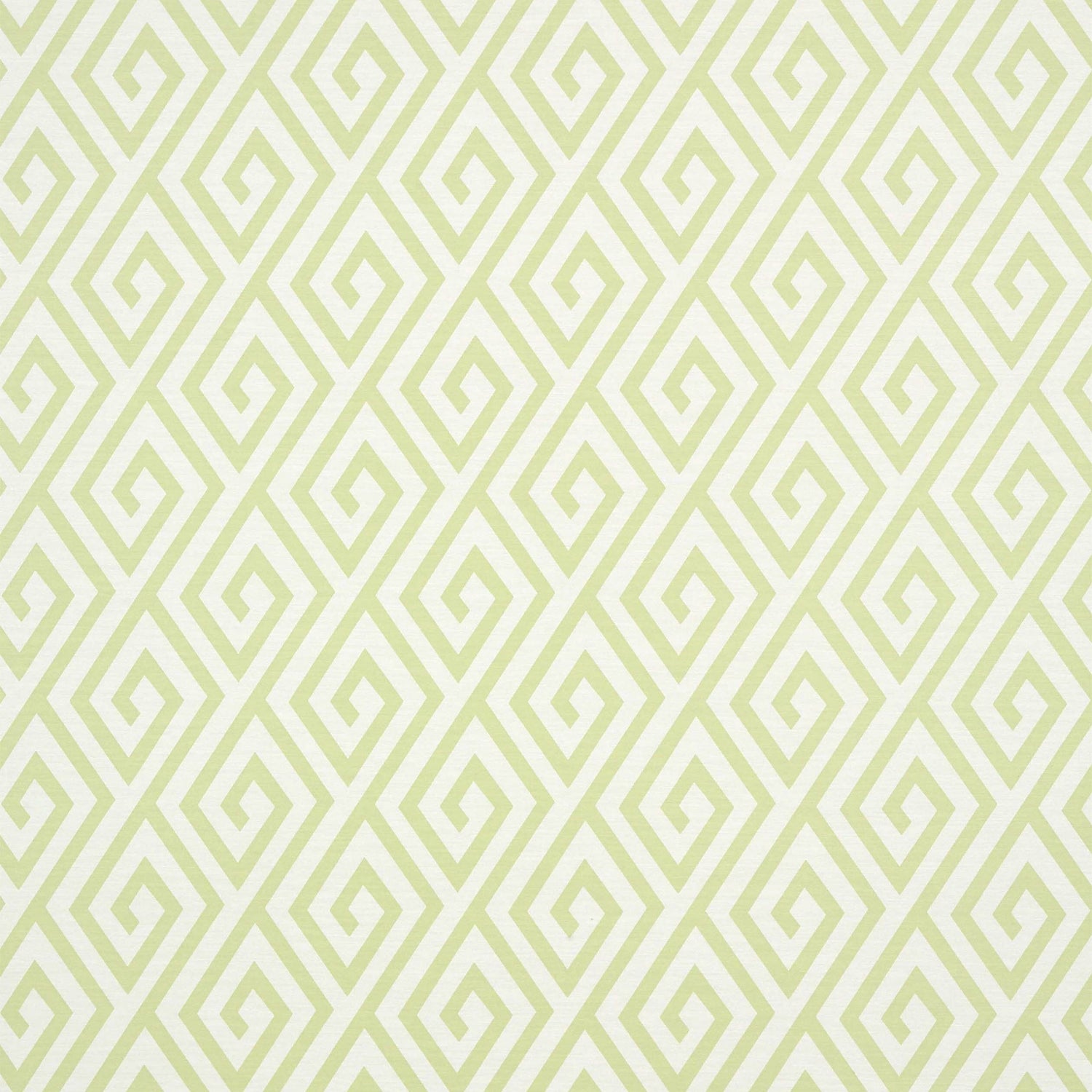 Dedalo wallpaper in green color - pattern number T35151 - by Thibaut in the Graphic Resource collection