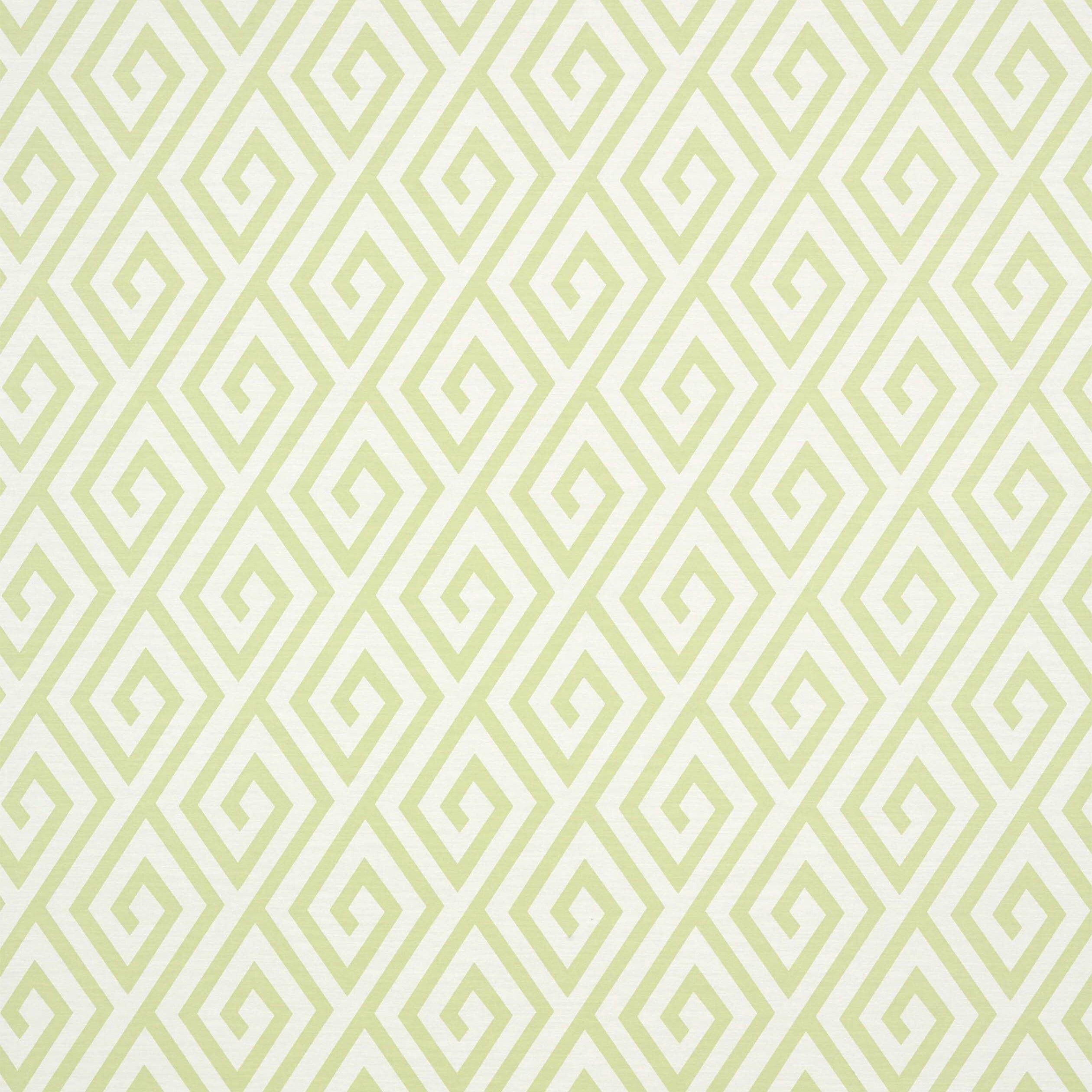 Dedalo wallpaper in green color - pattern number T35151 - by Thibaut in the Graphic Resource collection