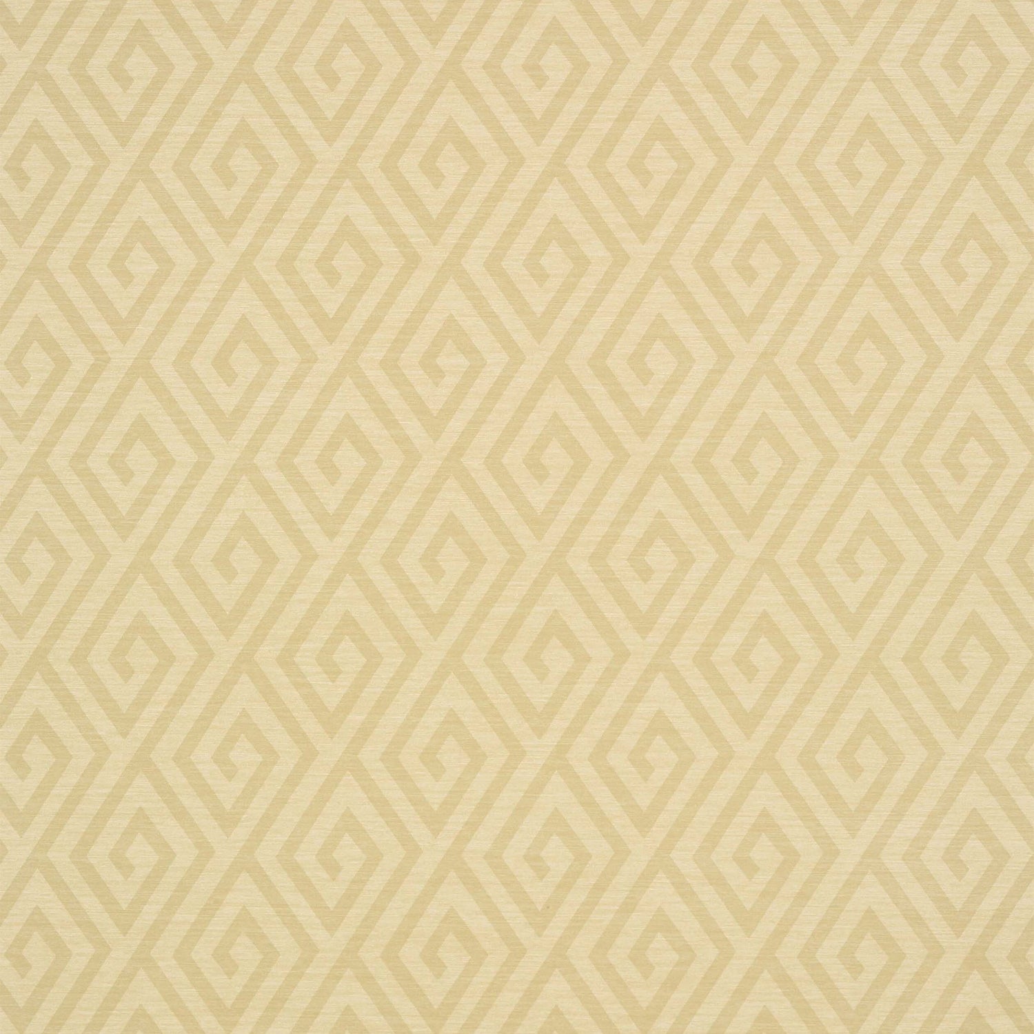 Dedalo wallpaper in wheat color - pattern number T35152 - by Thibaut in the Graphic Resource collection