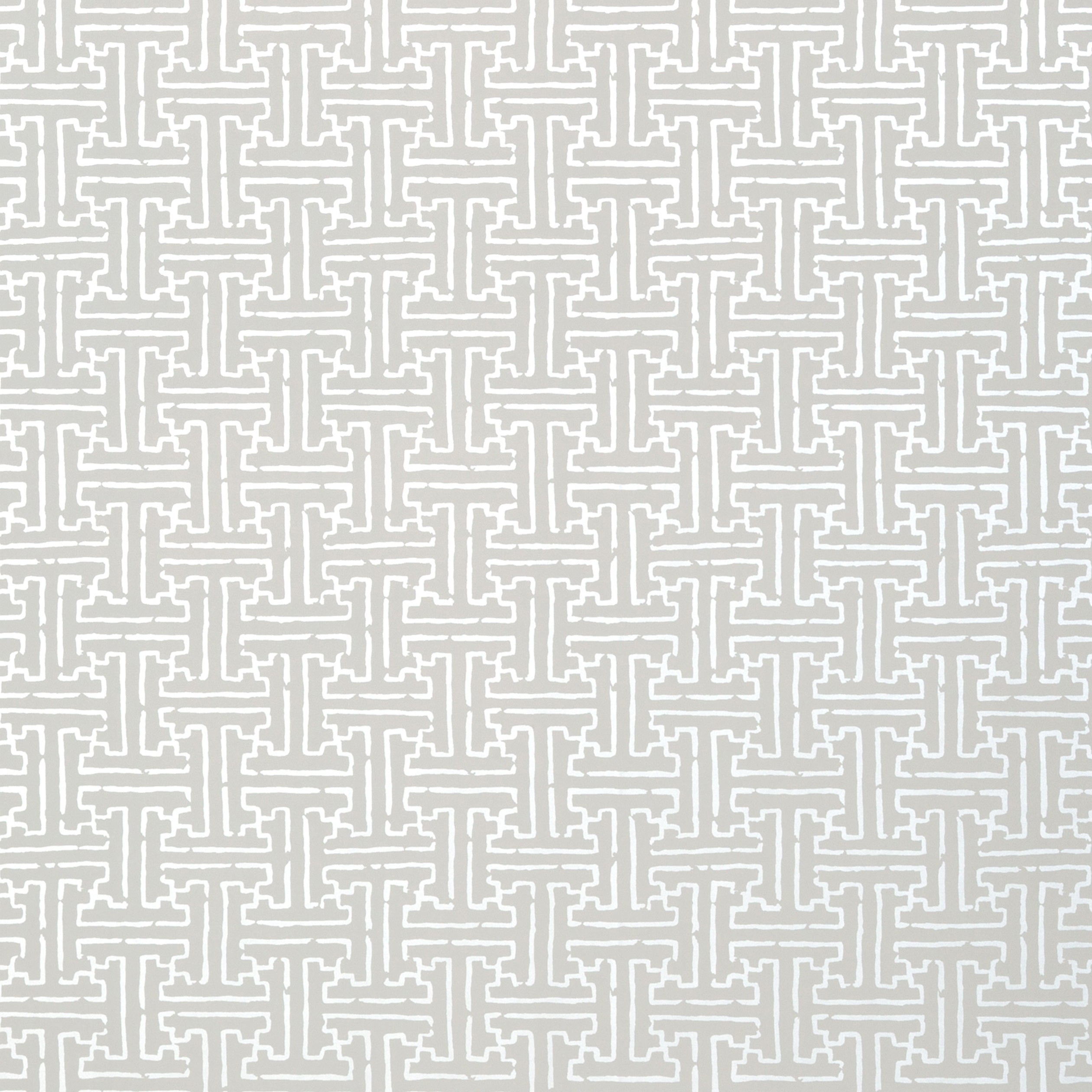 Taza wallpaper in silver on grey color - pattern number T35166 - by Thibaut in the Graphic Resource collection
