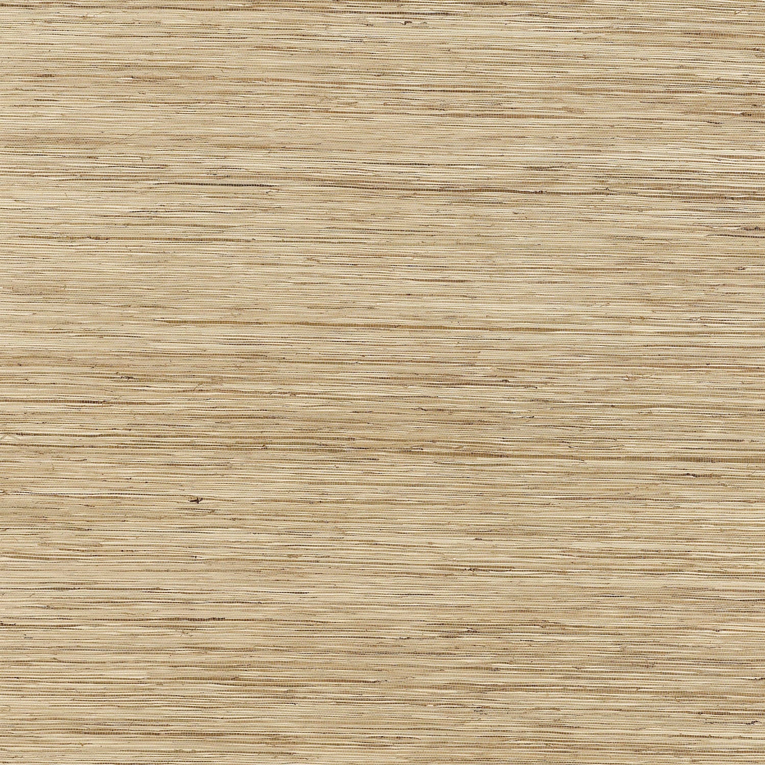 Ramie Bay wallpaper in beige color - pattern number T3635 - by Thibaut in the Grasscloth Resource 2 collection