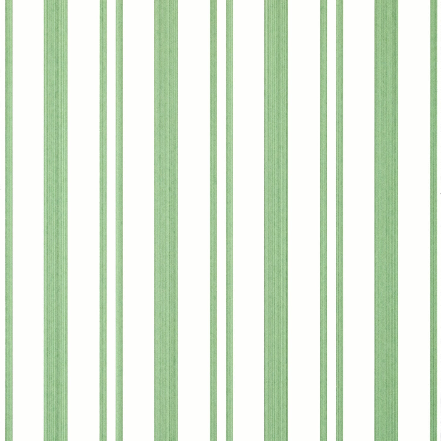 Maggie Stripe wallpaper in green color - pattern number T36458 - by Thibaut in the Indienne collection