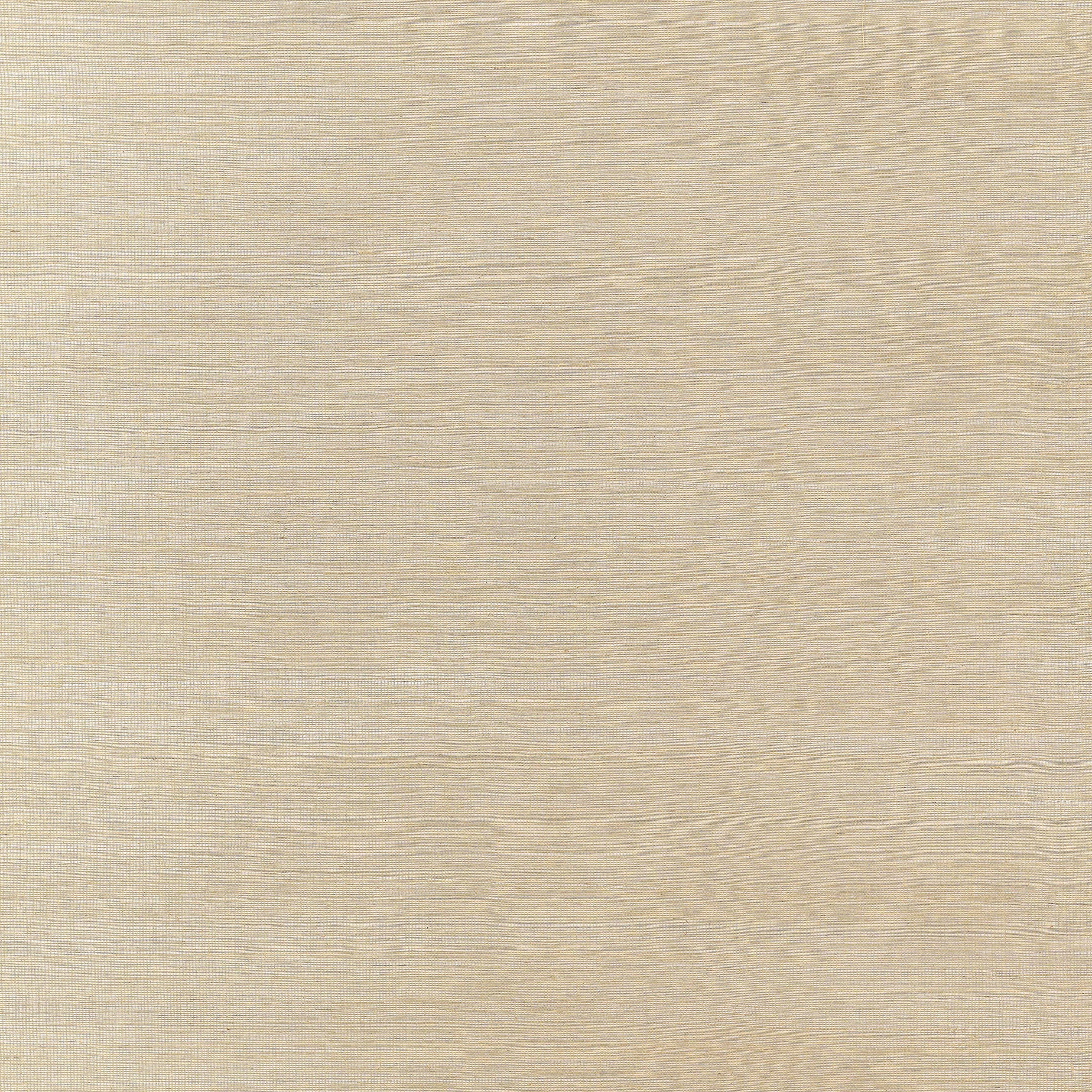 Natural Metal wallpaper in pewter color - pattern number T3649 - by Thibaut in the Grasscloth Resource 2 collection