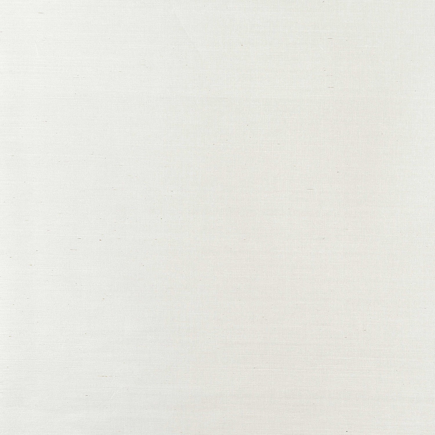 Natural Metal wallpaper in white metal color - pattern number T3653 - by Thibaut in the Grasscloth Resource 2 collection