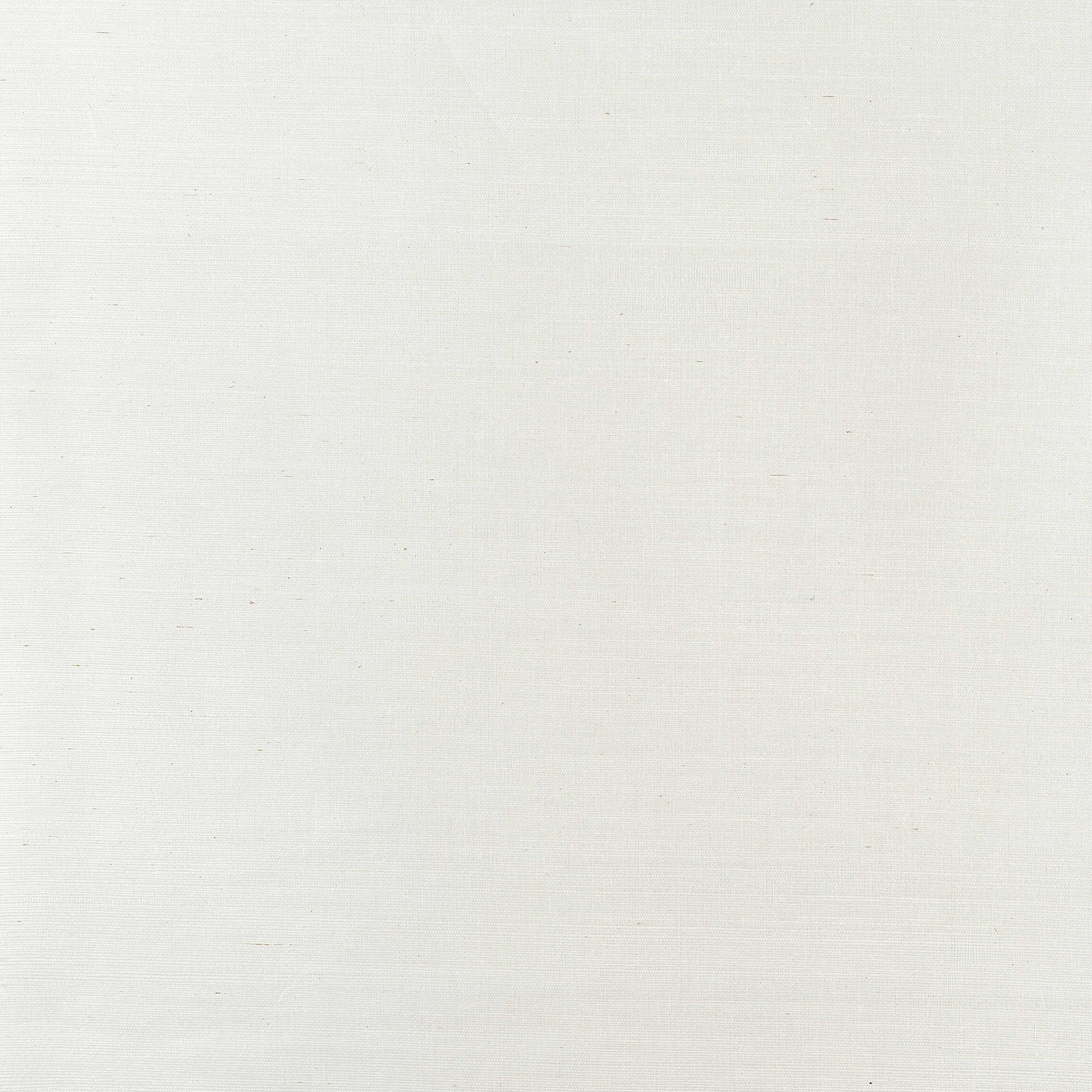 Natural Metal wallpaper in white metal color - pattern number T3653 - by Thibaut in the Grasscloth Resource 2 collection