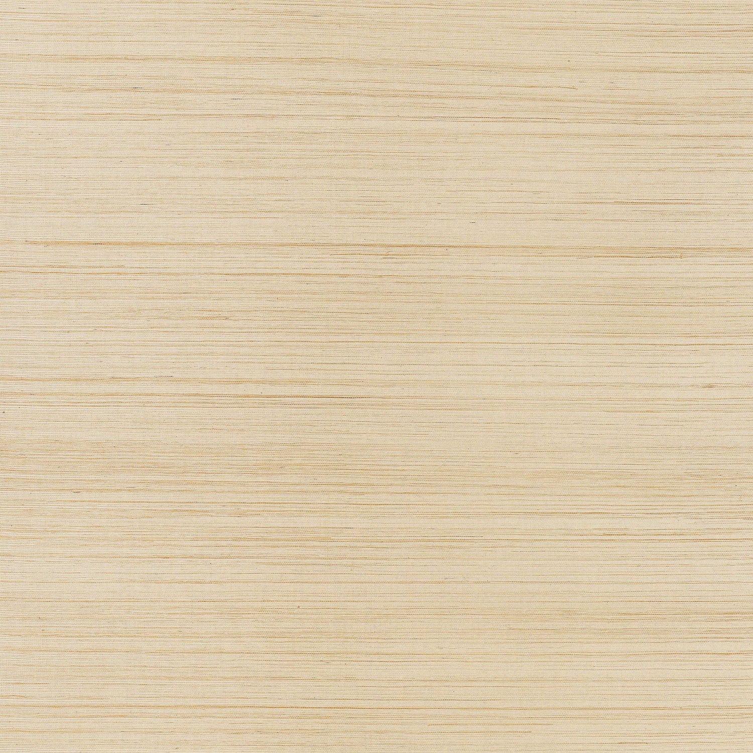 Windward Sisal wallpaper in straw color - pattern number T3664 - by Thibaut in the Grasscloth Resource 2 collection