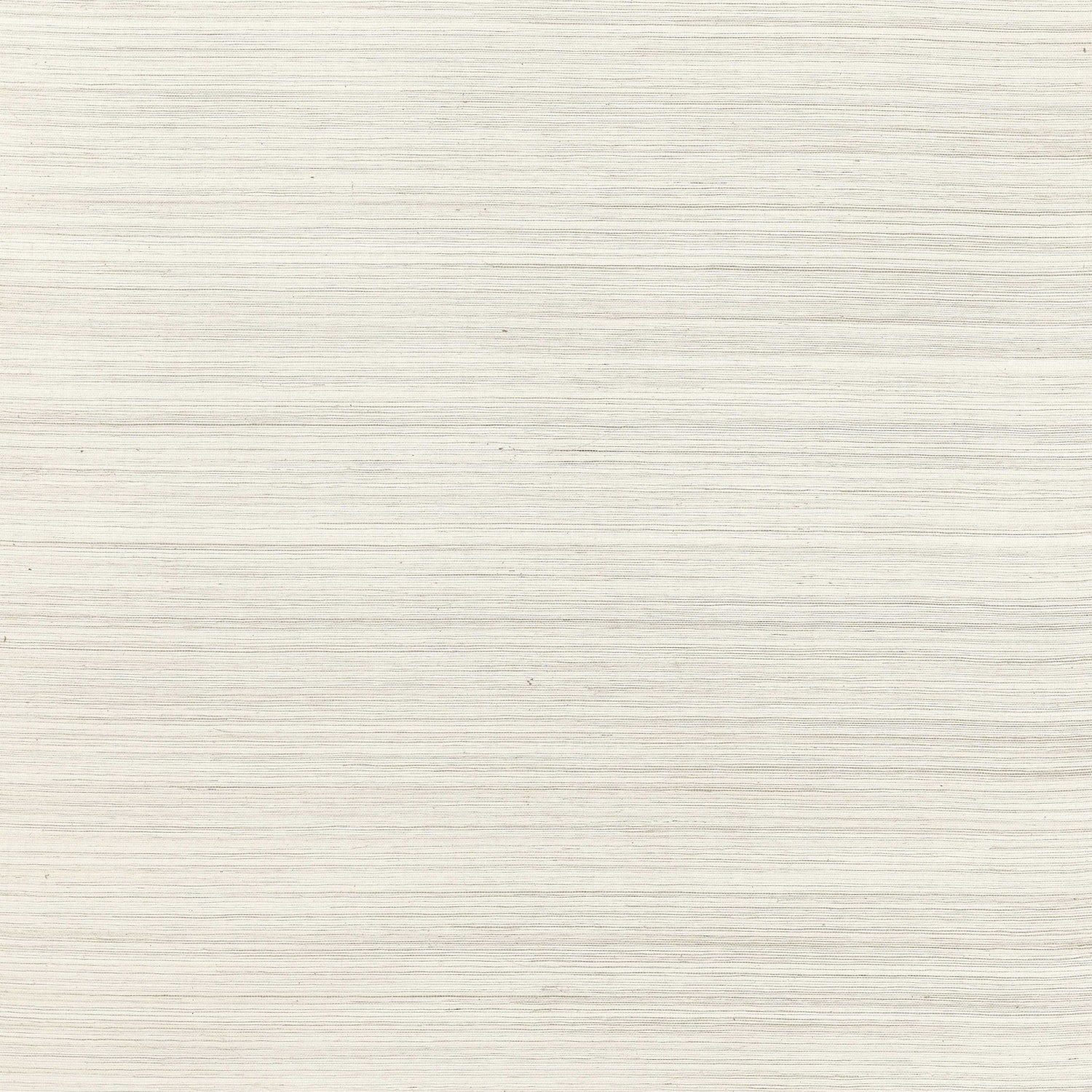 Windward Sisal wallpaper in off white color - pattern number T3669 - by Thibaut in the Grasscloth Resource Volume 6 collection