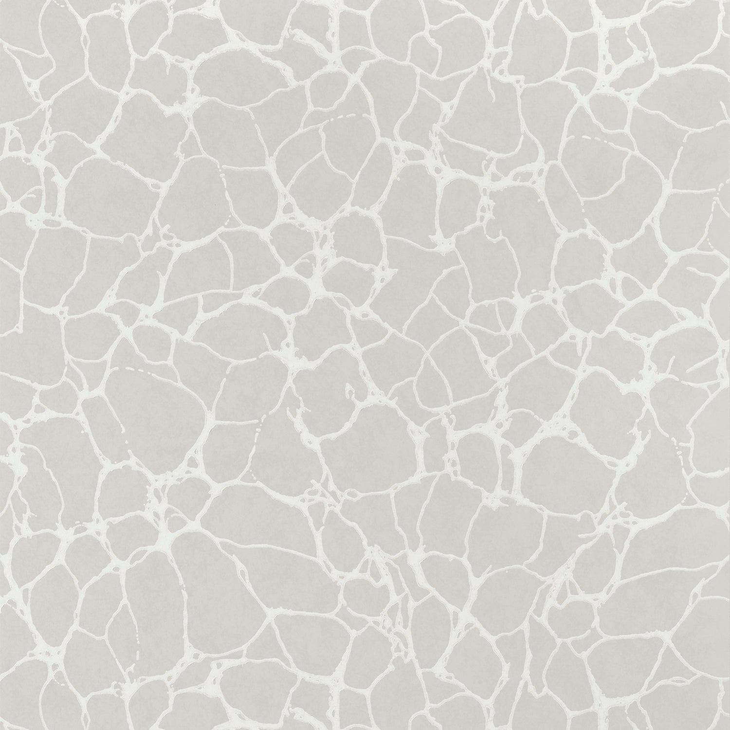 Amato wallpaper in grey color - pattern number T4015 - by Thibaut in the Surface Resource collection