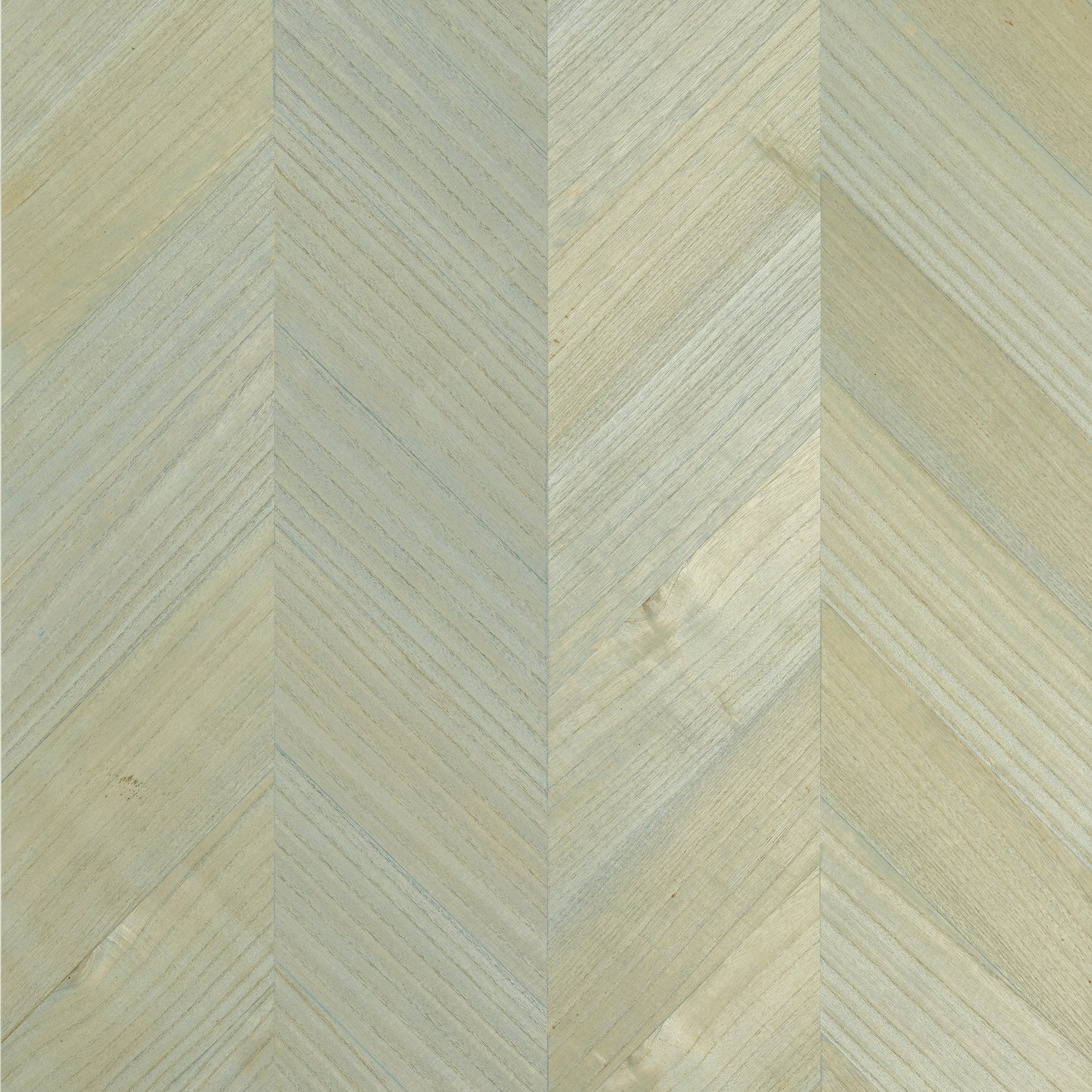 Inyo Wood wallpaper in robins egg color - pattern number T4022 - by Thibaut in the Surface Resource collection