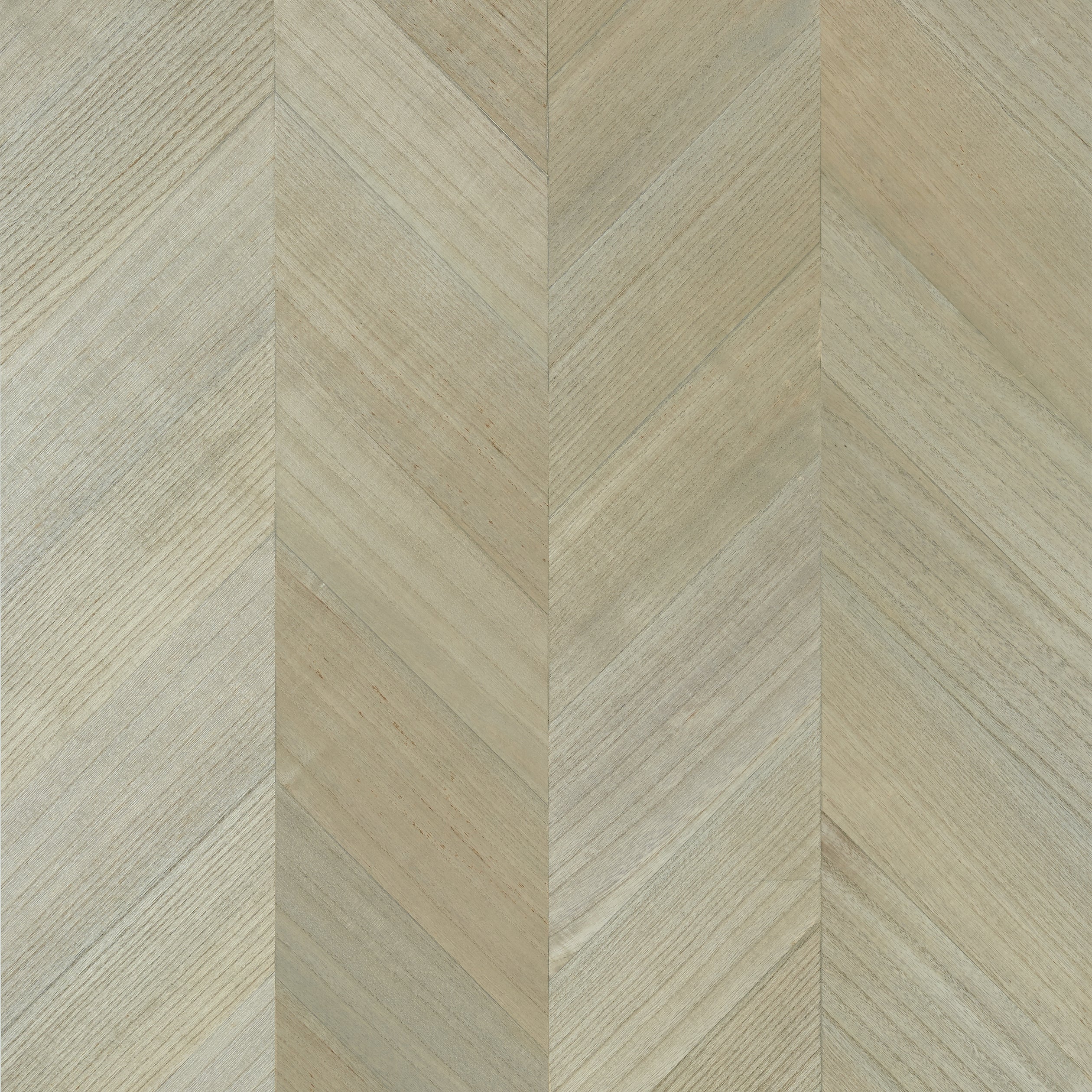 Inyo Wood wallpaper in grey color - pattern number T4023 - by Thibaut in the Surface Resource collection