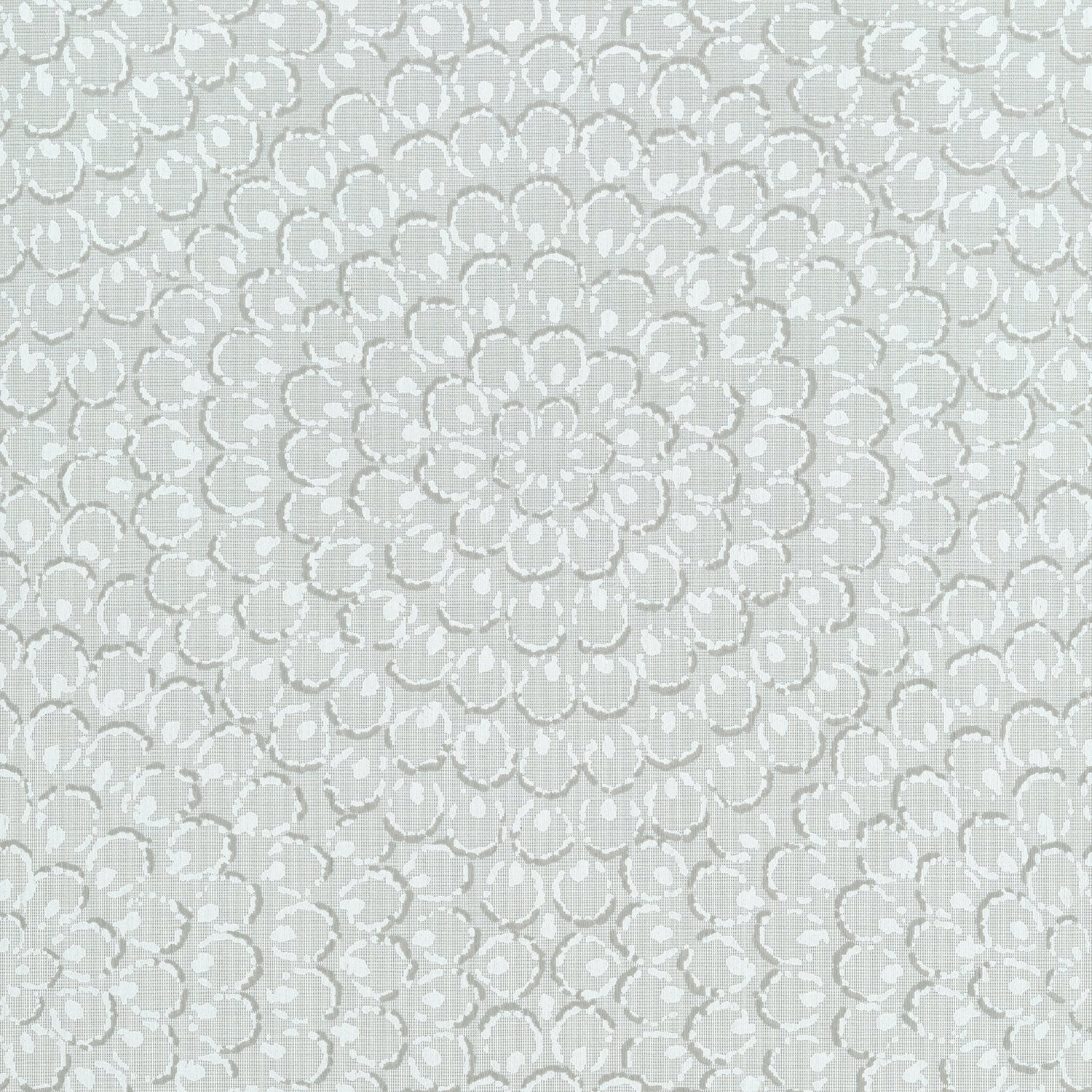 Aster wallpaper in grey color - pattern number T4031 - by Thibaut in the Surface Resource collection