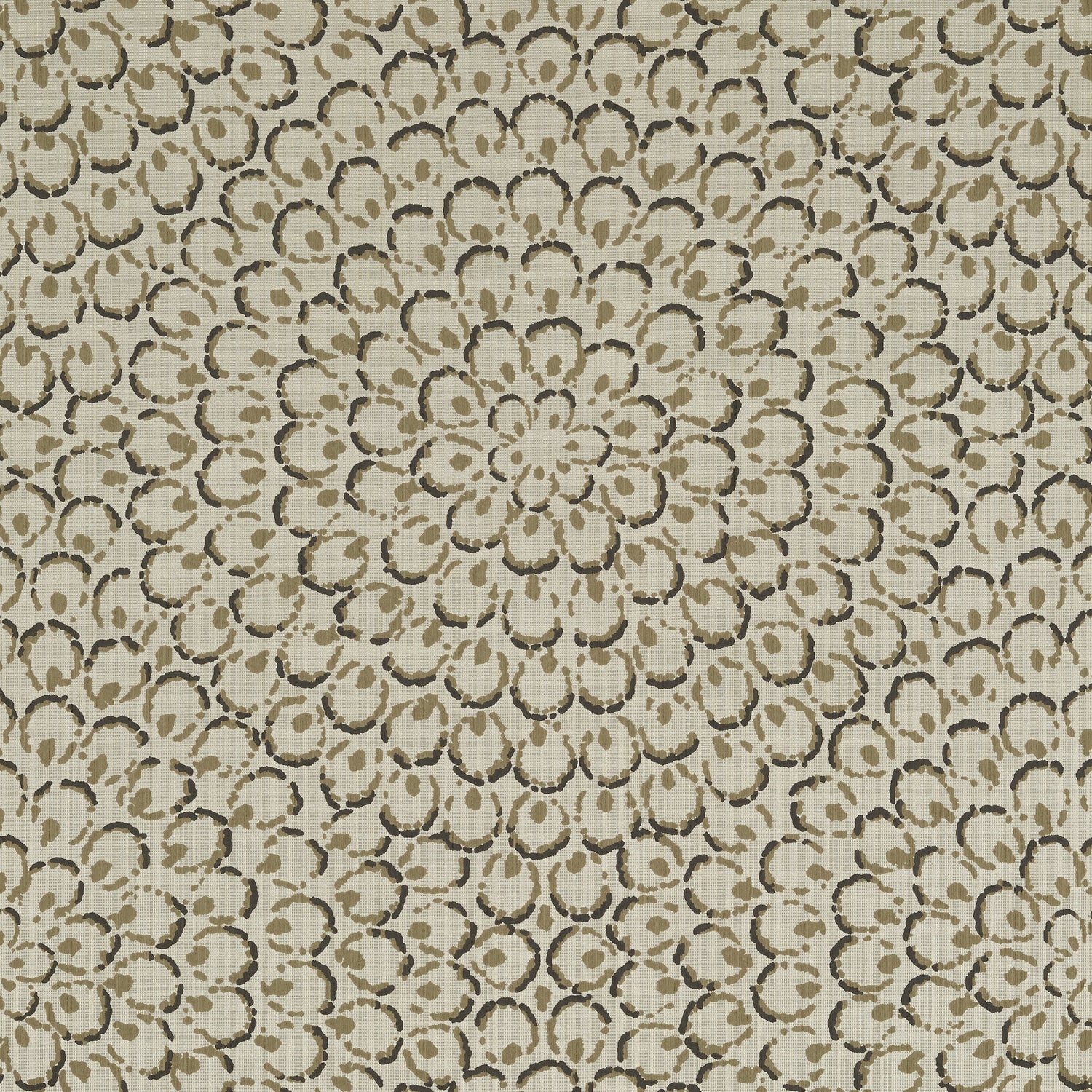 Aster wallpaper in charcoal color - pattern number T4035 - by Thibaut in the Surface Resource collection